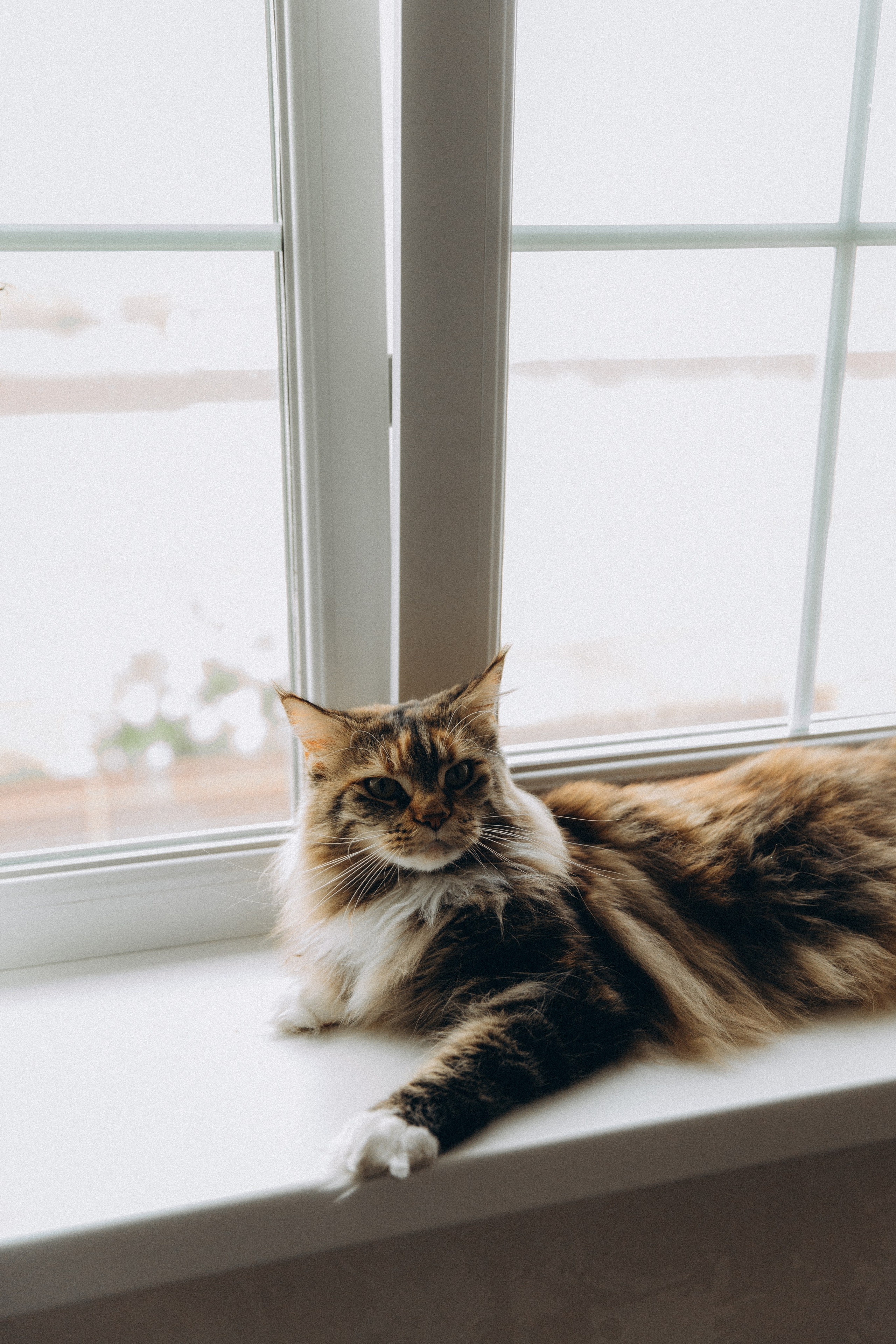 Таня & Ксения. Семейный и детский фотограф Башкатова Дарья Старый Оскол