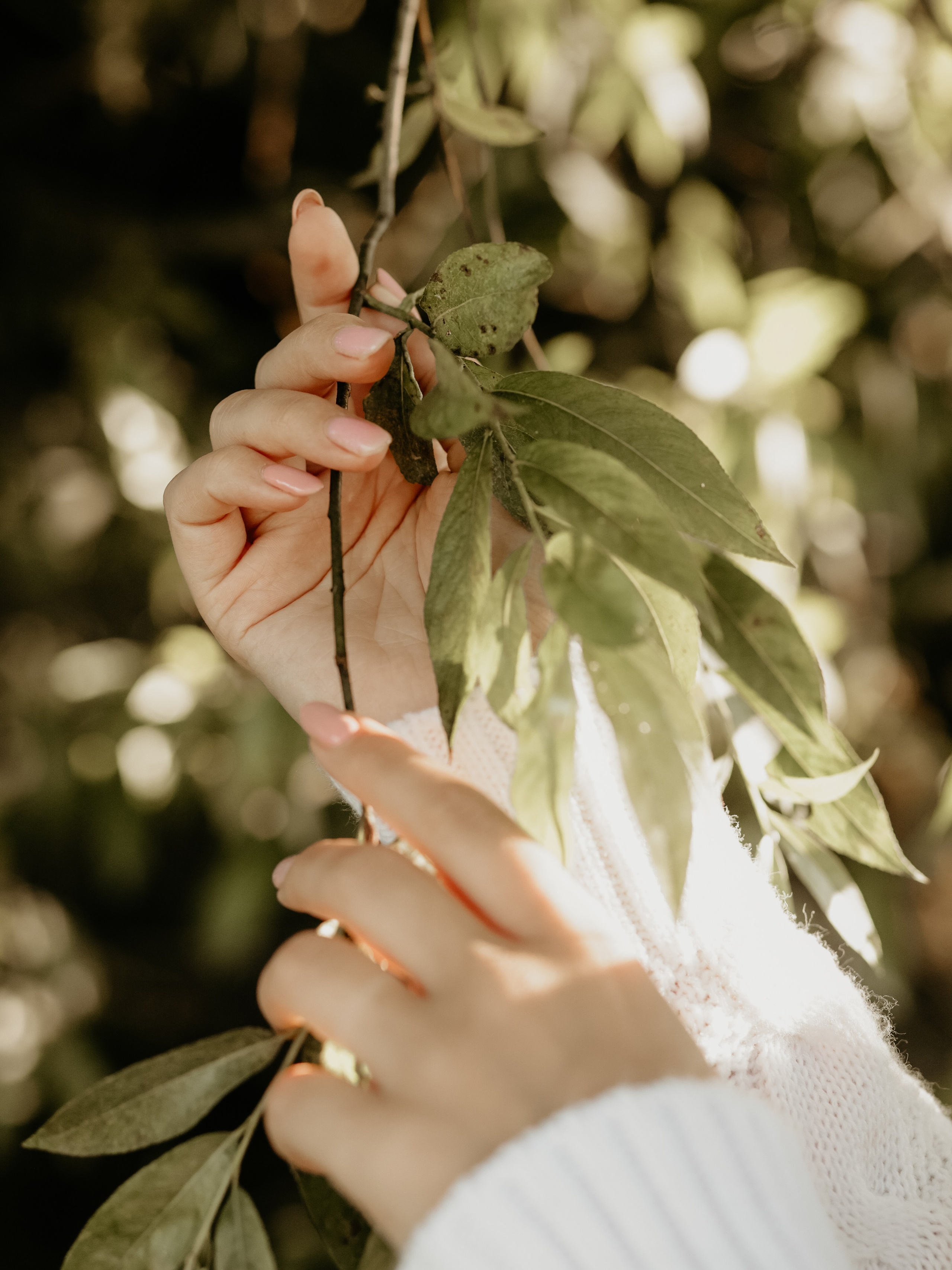 Пикник. Портретный фотограф в Калининграде Алеся Раух