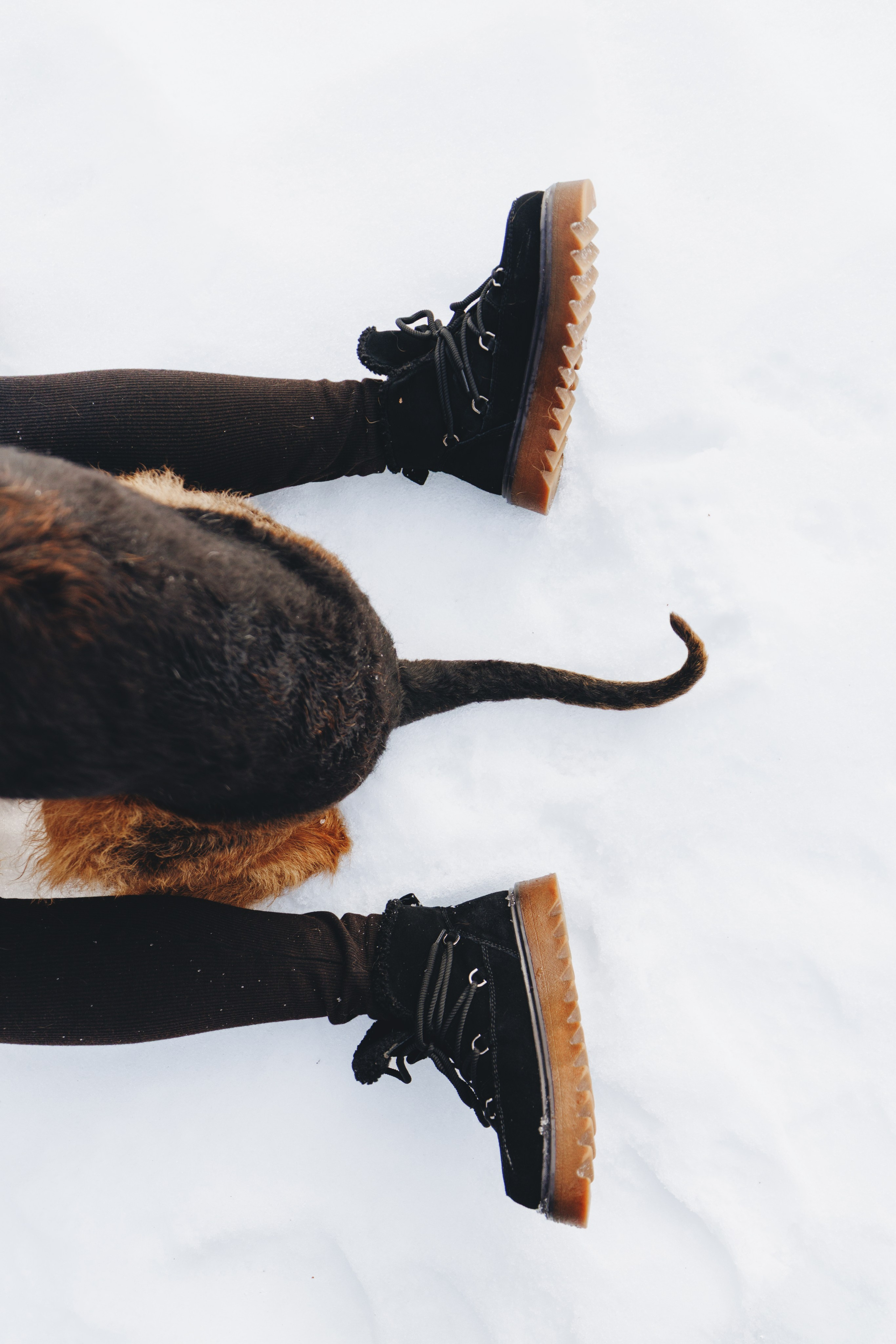 Оля и Хард. Фотограф анималист Осипчикова Мария