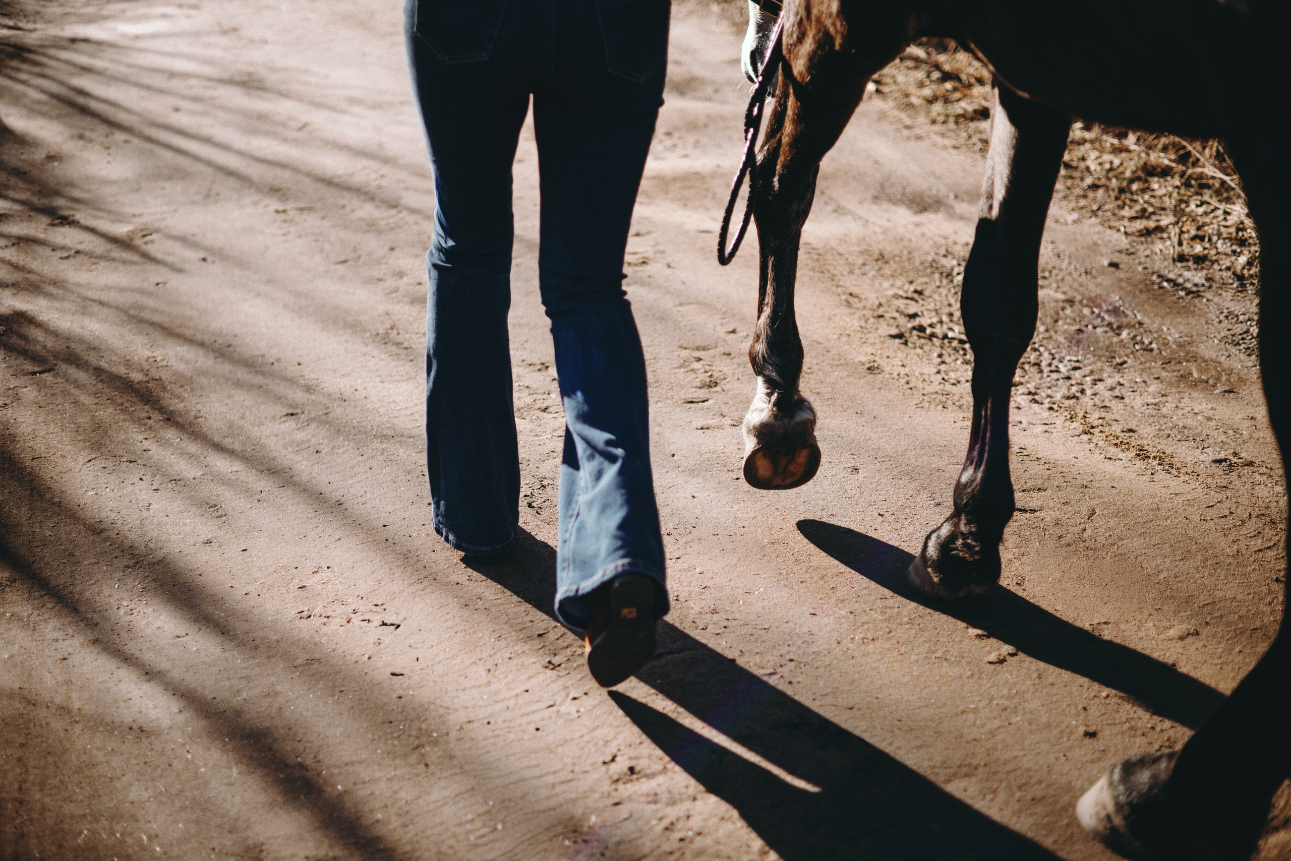 Ирина и Командор. Фотограф анималист Осипчикова Мария