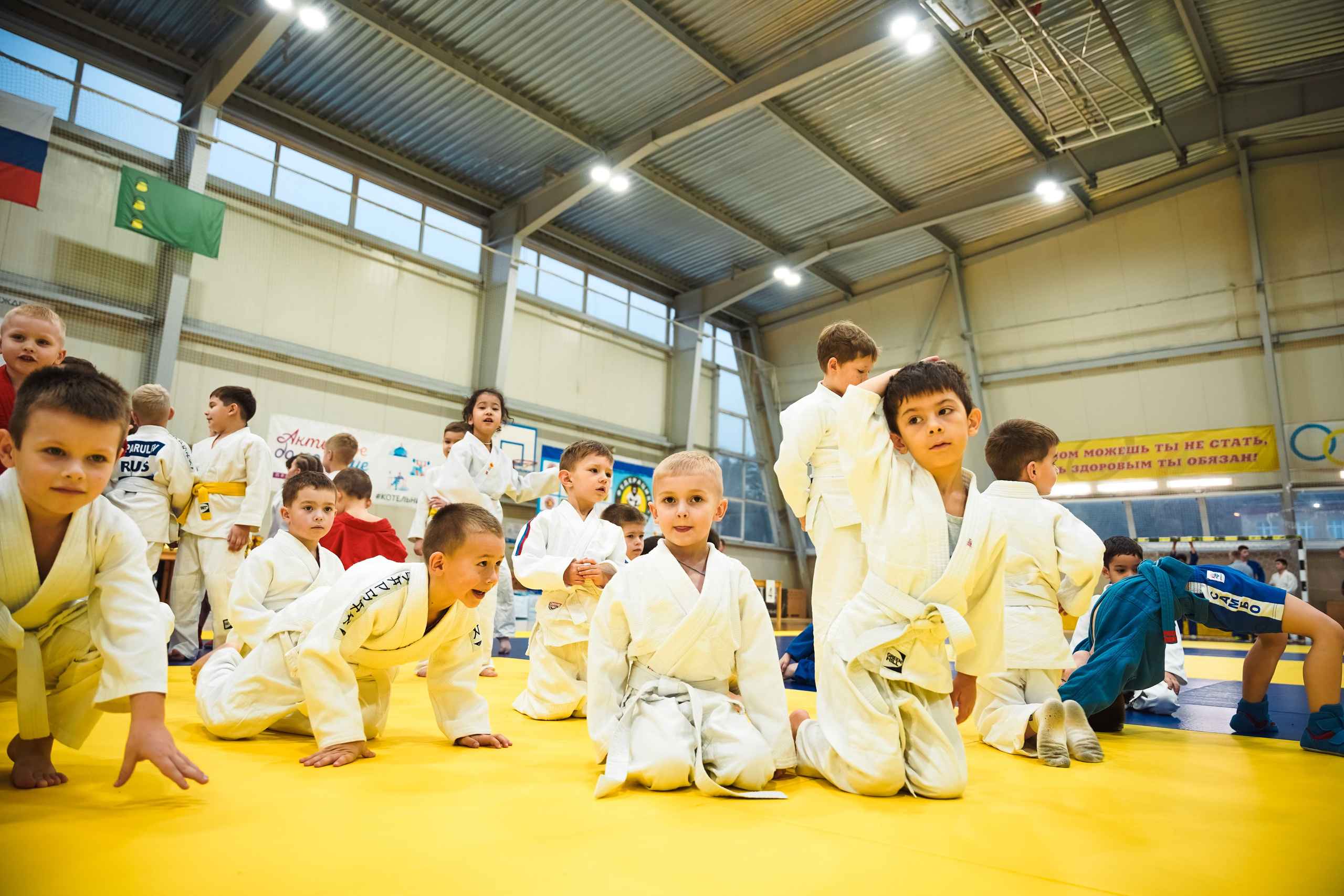 Самбо. Портретный и репортажный фотограф