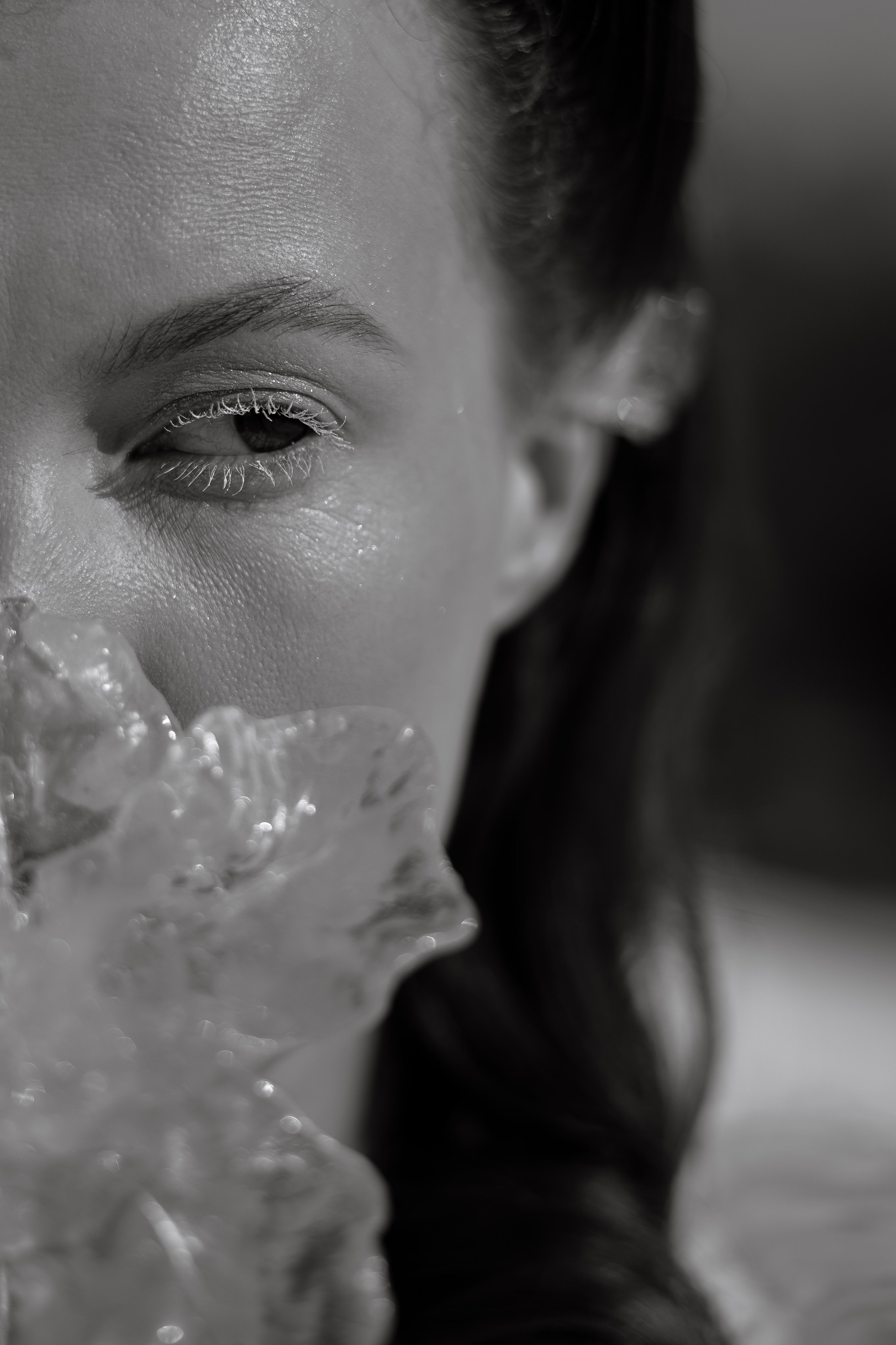 FROSED. Кто мы?