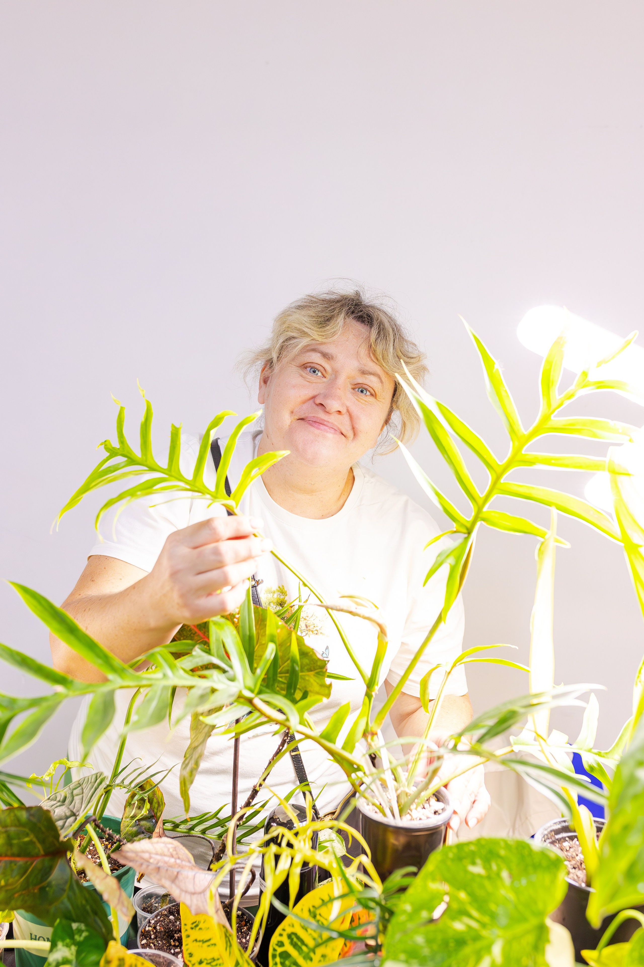 Орхидиум сентябрь 2025. Александра Куликова фотограф, Москва