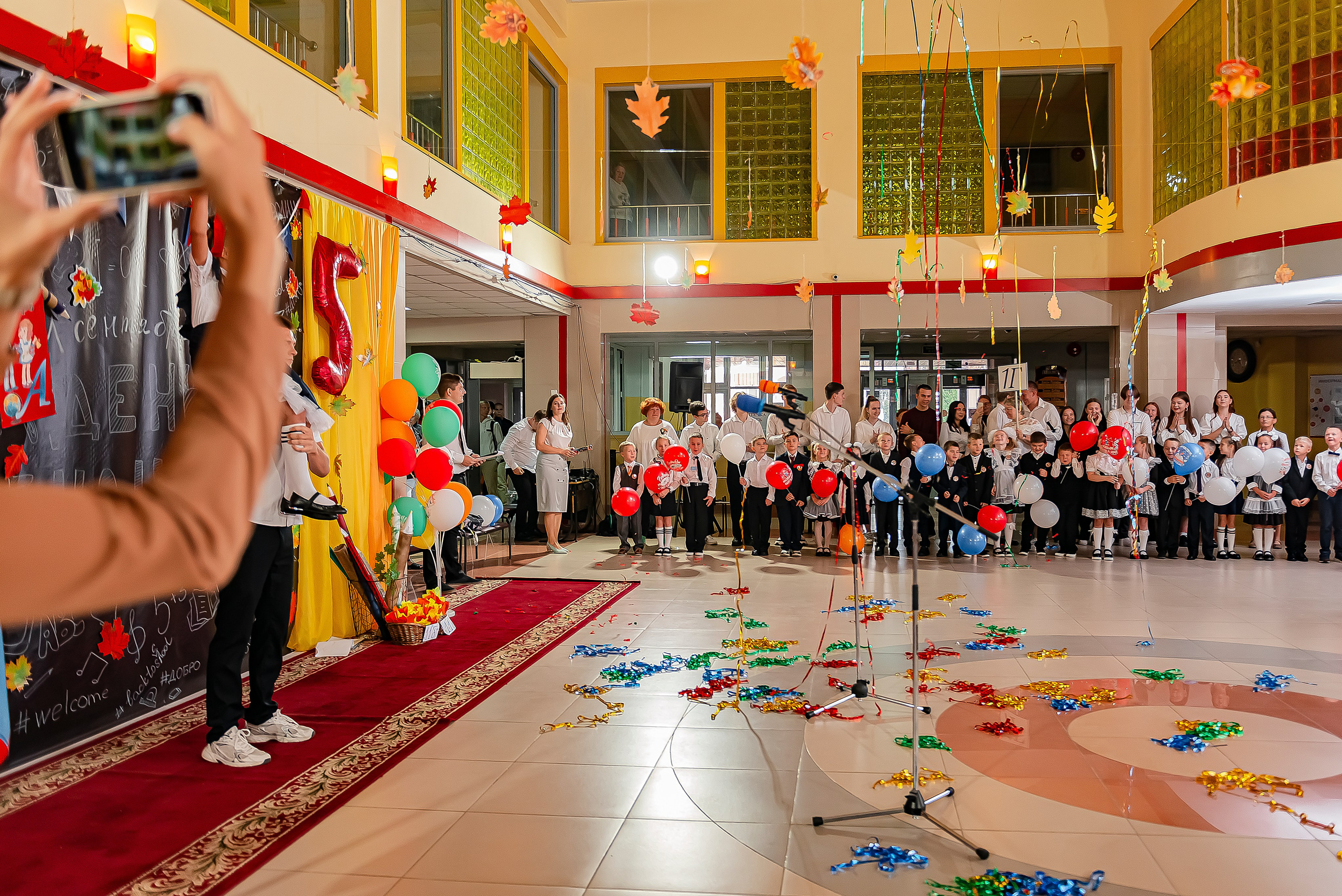 1 «В» | Гимназия № 3| г. Белгород |2024. ALBUMIA