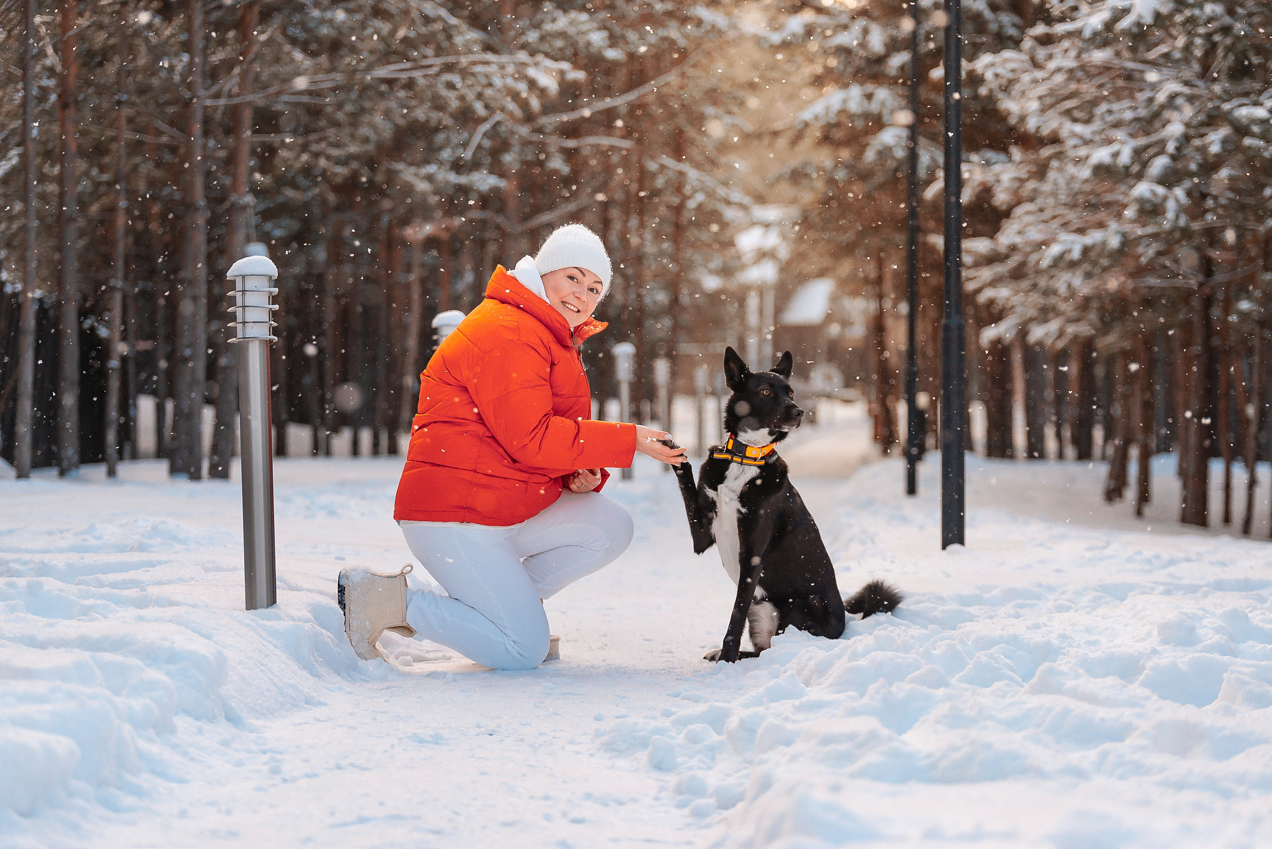 Татьяна, Михаил, Шелли и Лаки. Фотограф-анималист Анастасия Парфенова|Екатеринбург
