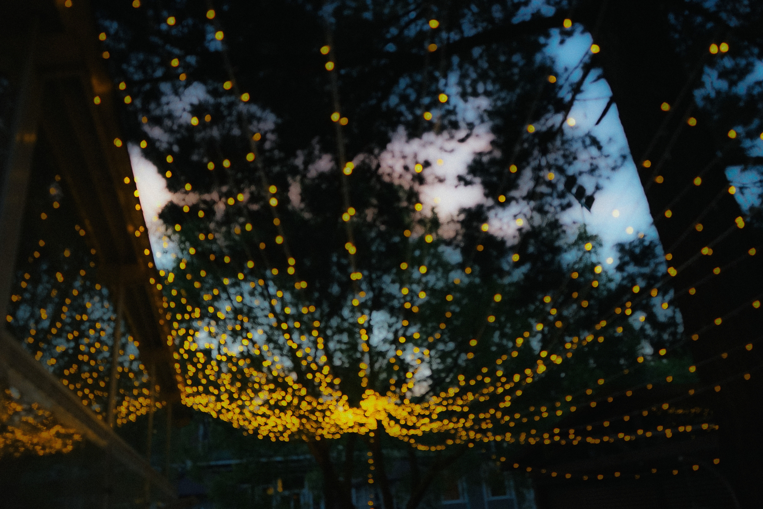 Свадебный фотограф Тбилиси. Фотограф в Грузии ОАЭ | Nekit Fox