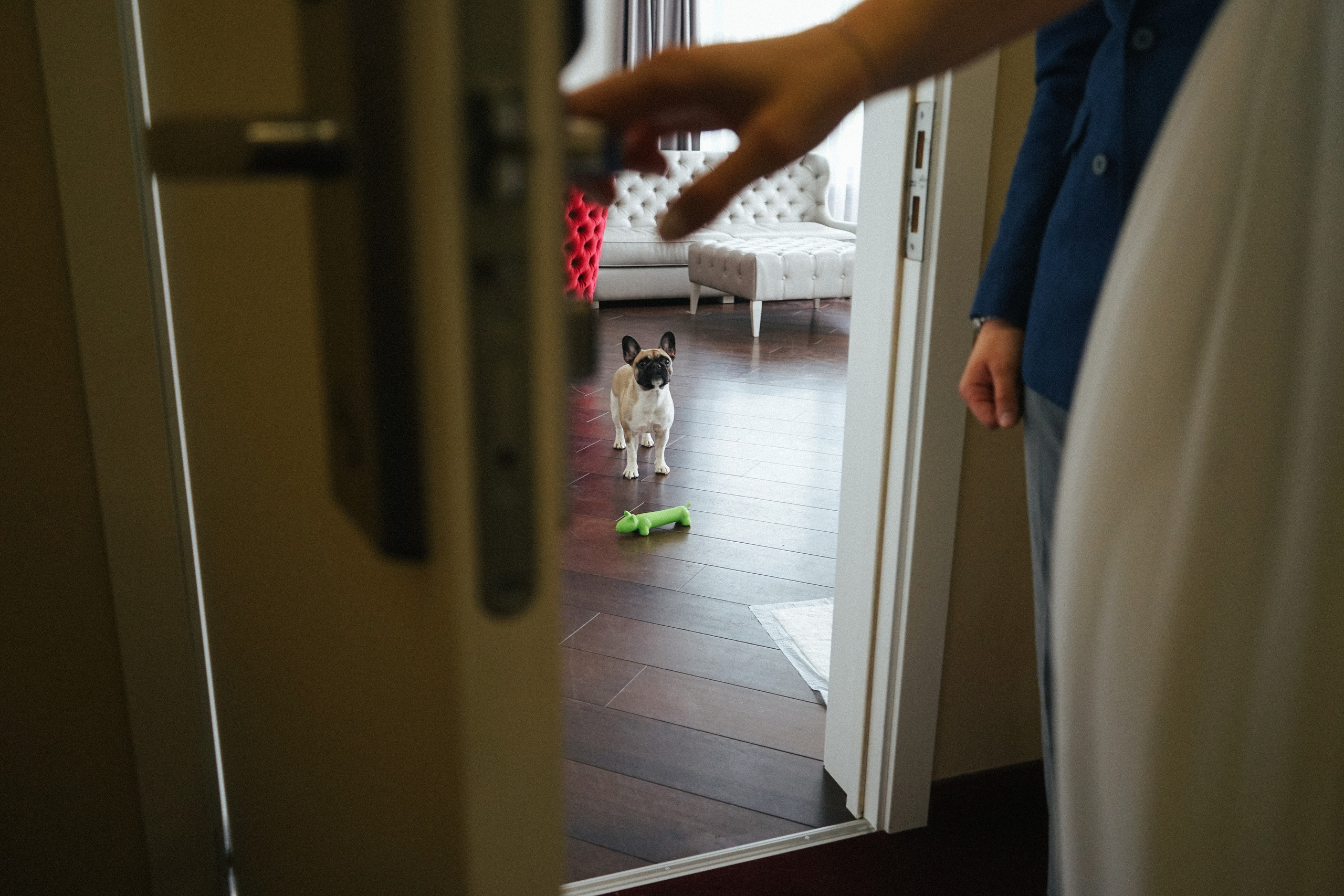 Свадебный фотограф Тбилиси. Фотограф в Грузии ОАЭ | Nekit Fox