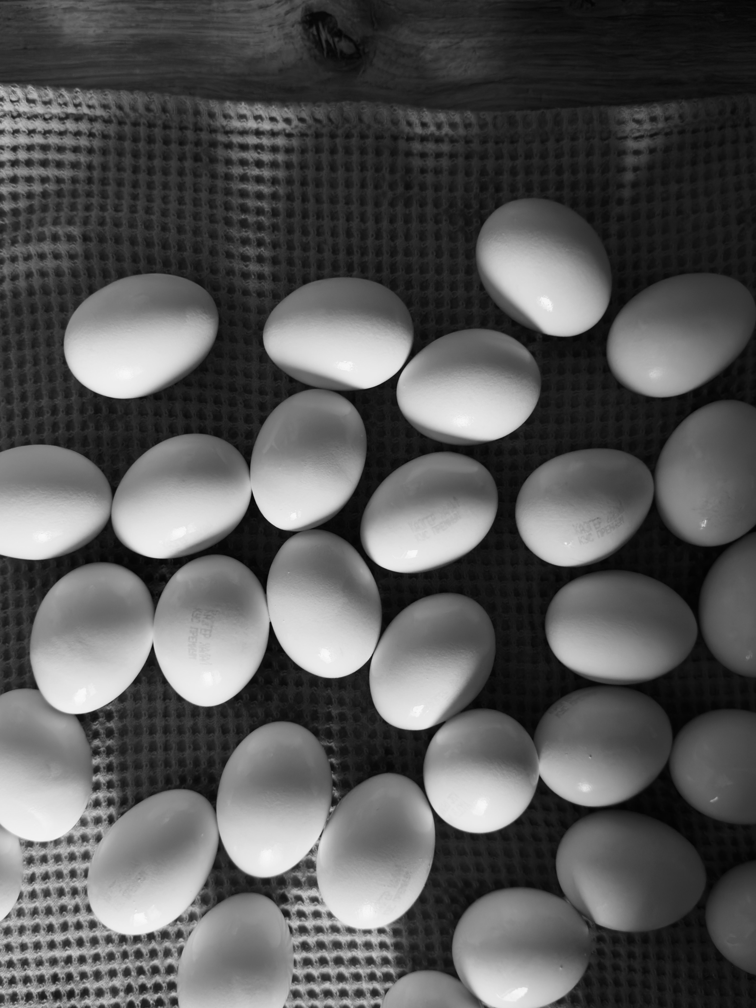 Визуальный дневник. Репортажный фотограф в Алматы Цой Сергей