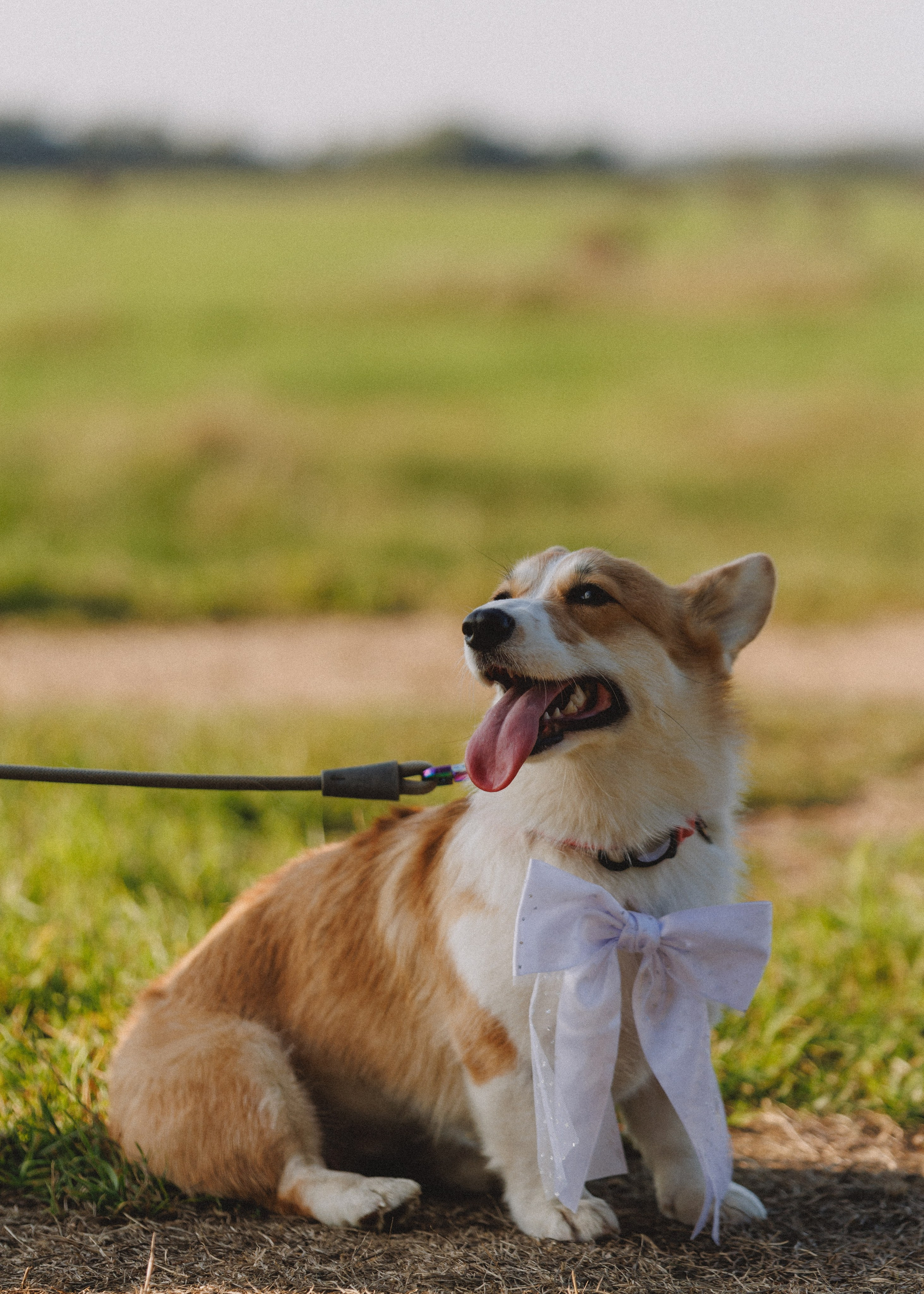 RUSSTYLE. Свадебный фотограф Владислав Адышкин