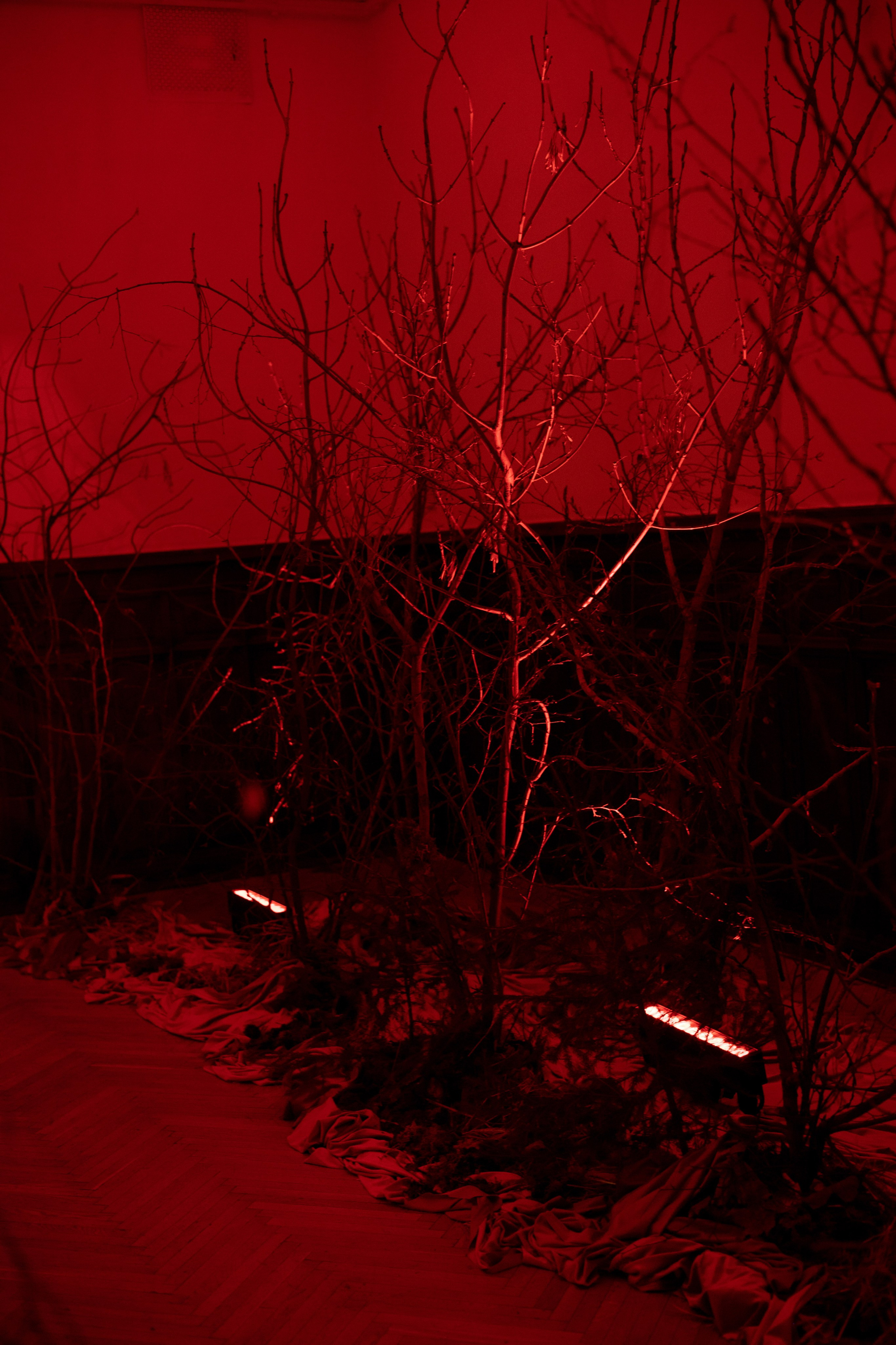 Новогодний корпоратив в фольклорном стиле. Особняк Лемана. Оформление свадеб, декор свадеб Вера Маркова, Москва