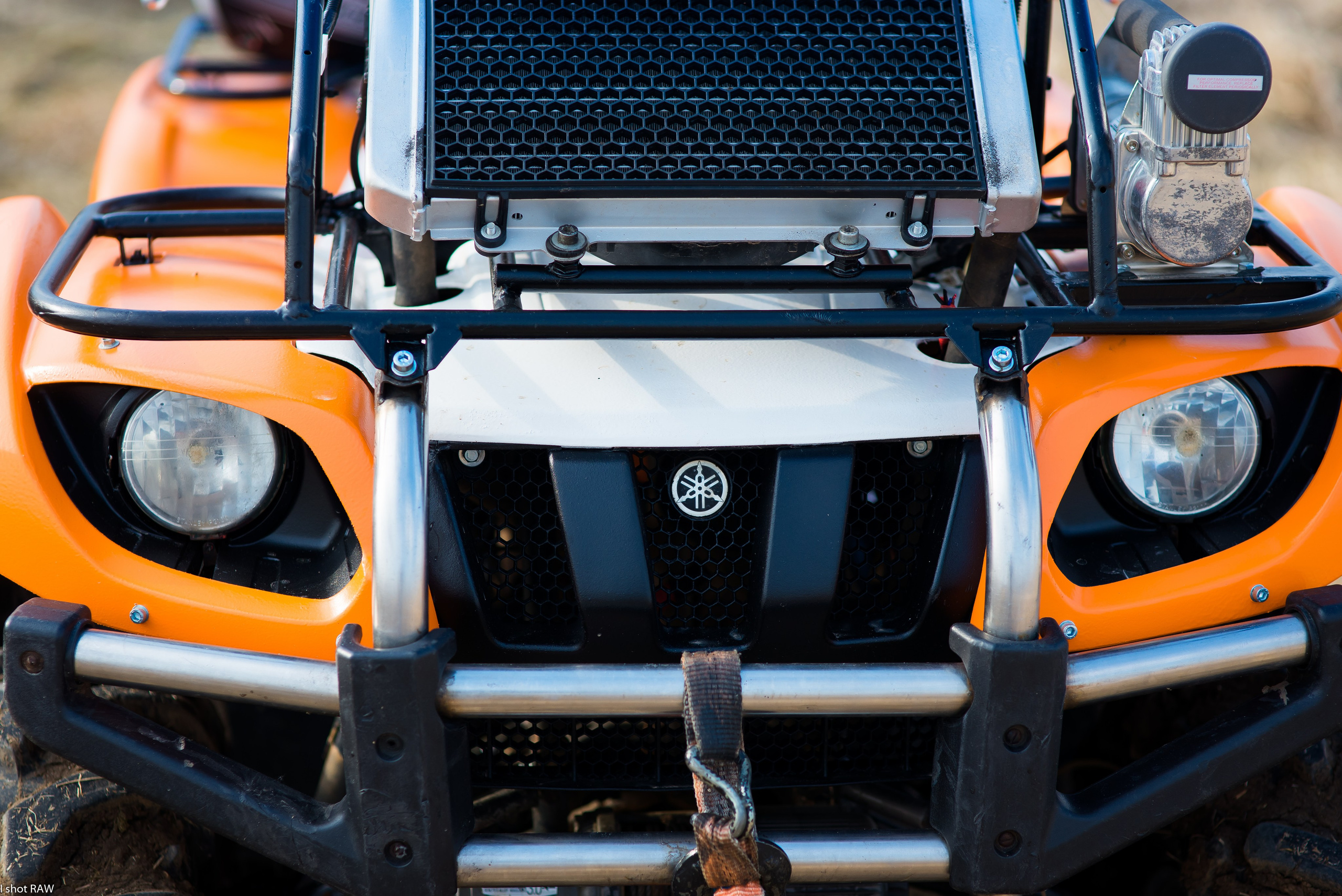 Яна. Свадебный фотограф в Рязани Вагнер Владимир