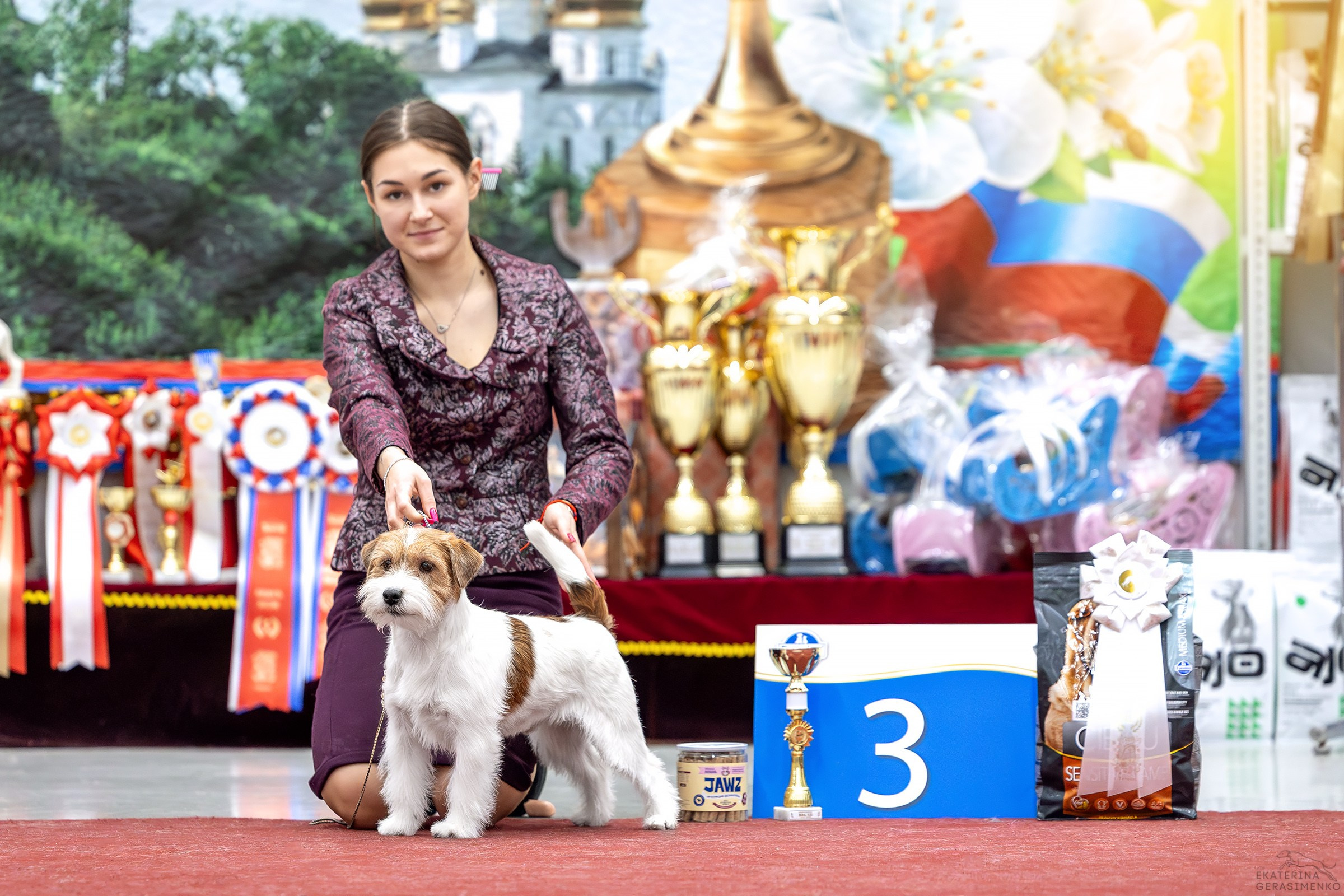 17–18 января 2026, Выставка РКФ, г. Тюмень. Htykk_photo