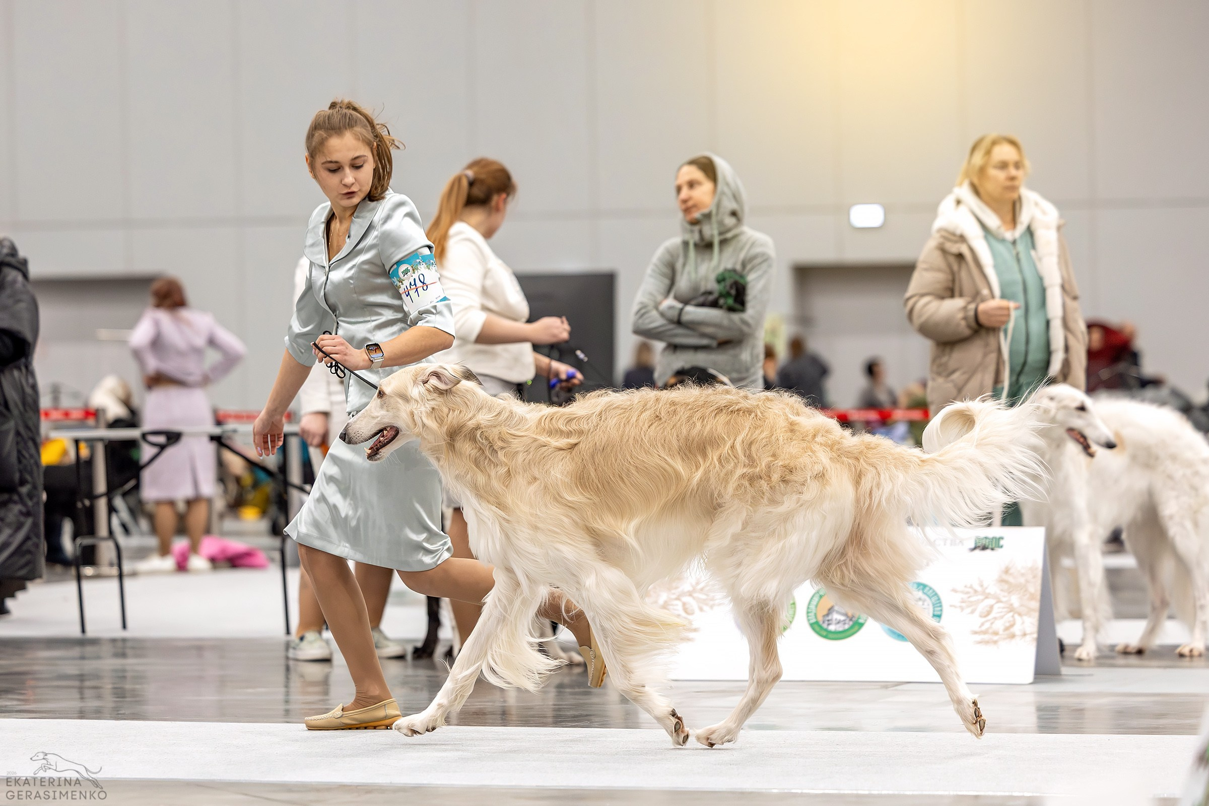 24–25 января 2026, Выставка РКФ «Сабанеевка», г. Казань. Htykk_photo