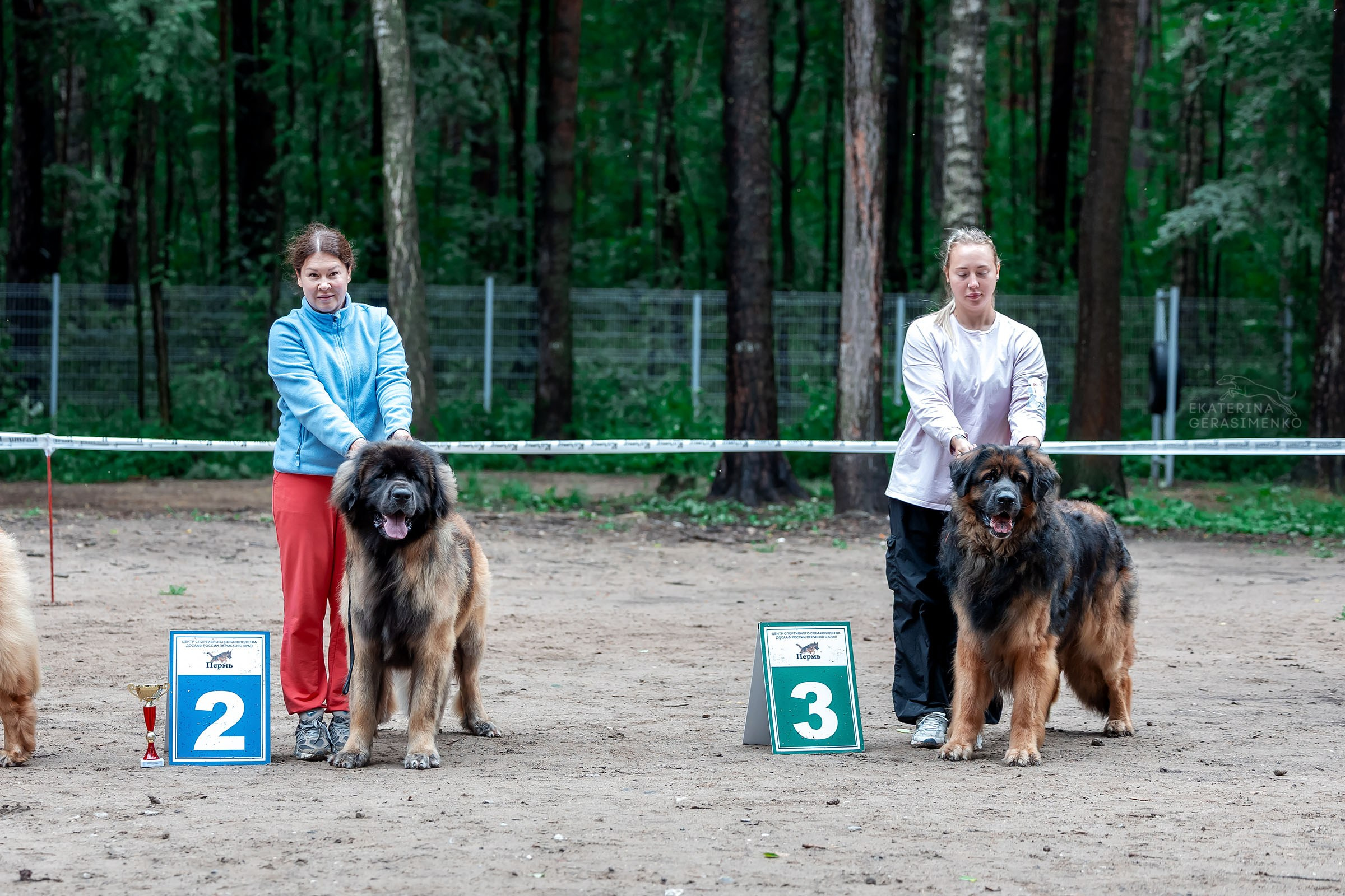 1 августа 2026, Выставка РКФ, г. Пермь. Htykk_photo