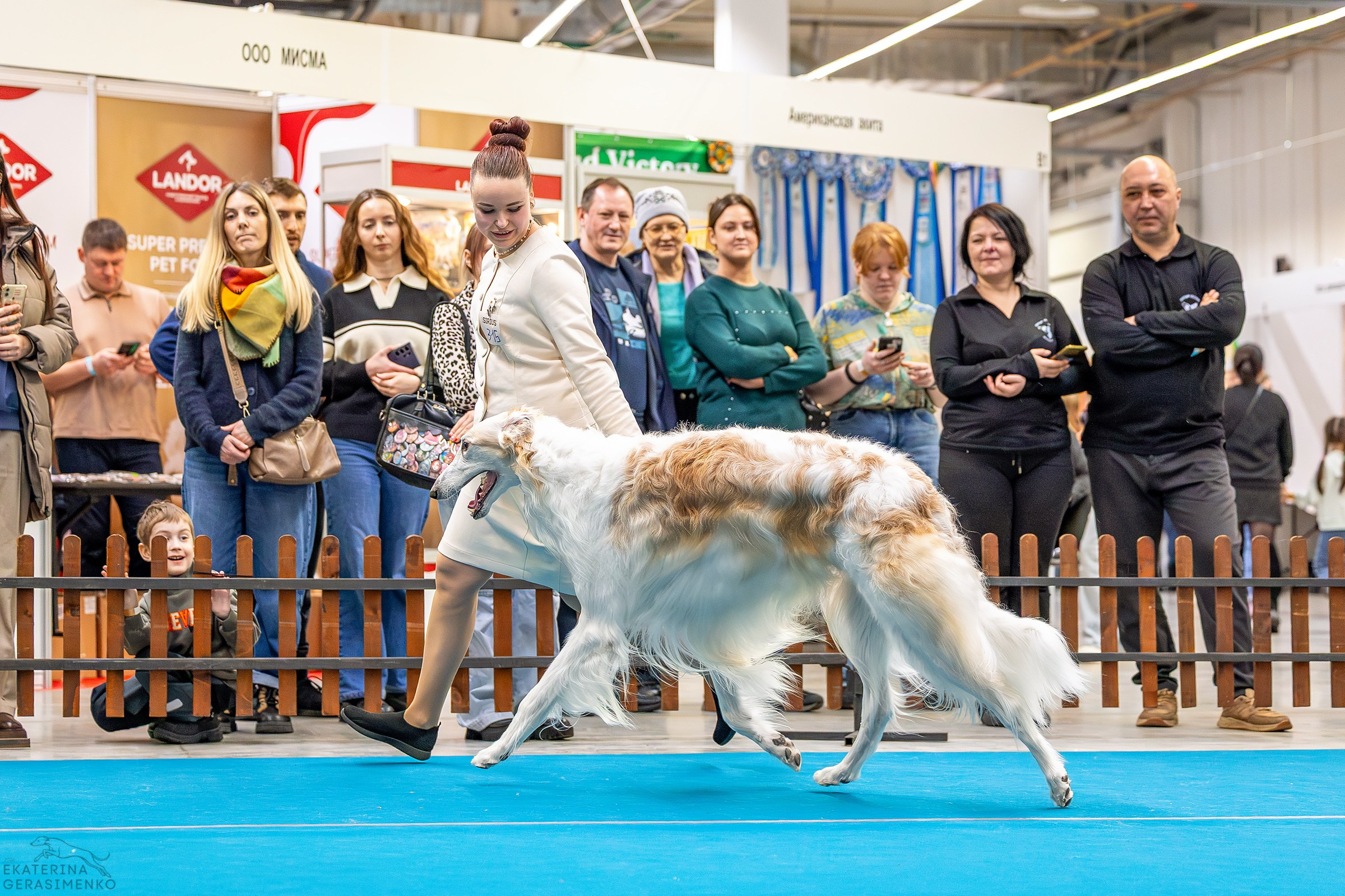 7–8 февраля 2026, Выставка РКФ, г. Пермь. Htykk_photo