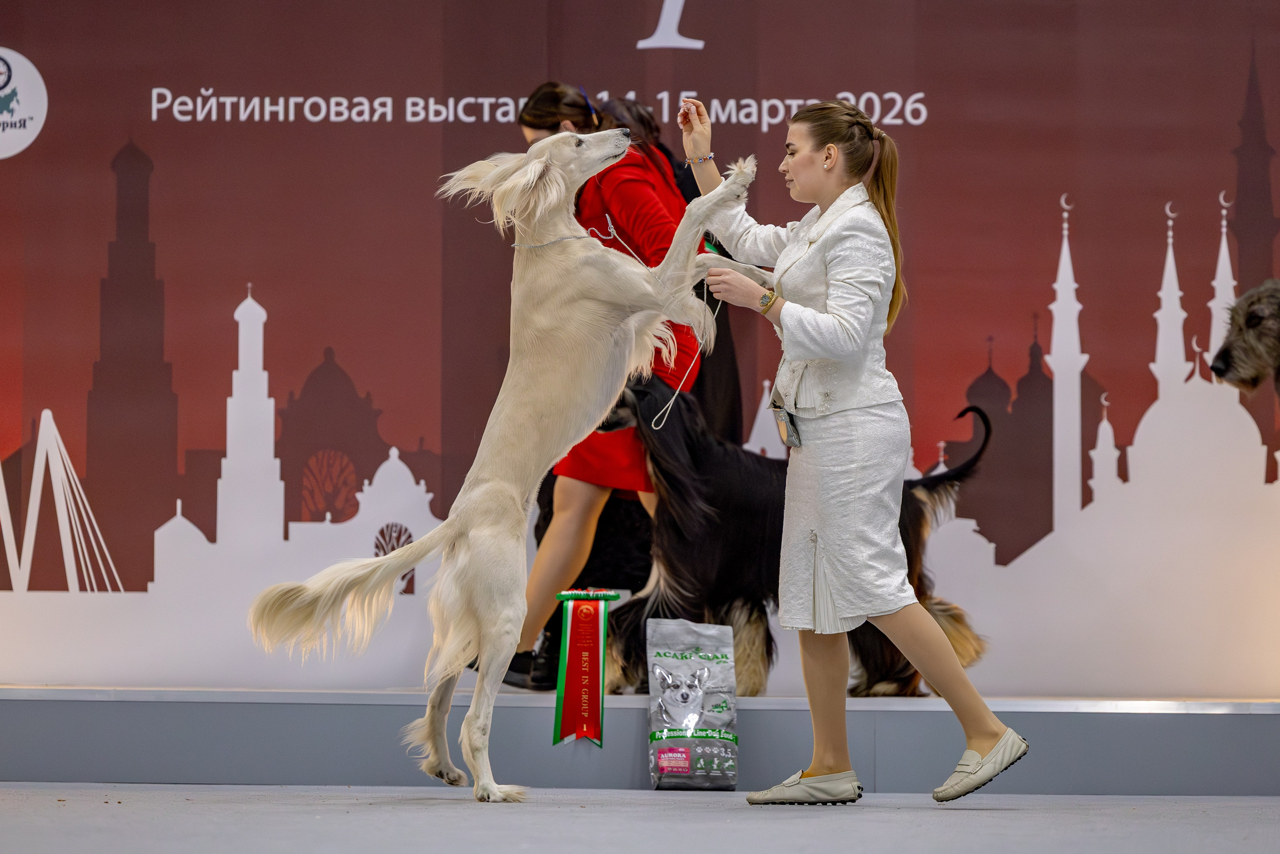 14 марта 2026, Выставка РКФ, г. Казань. Htykk_photo