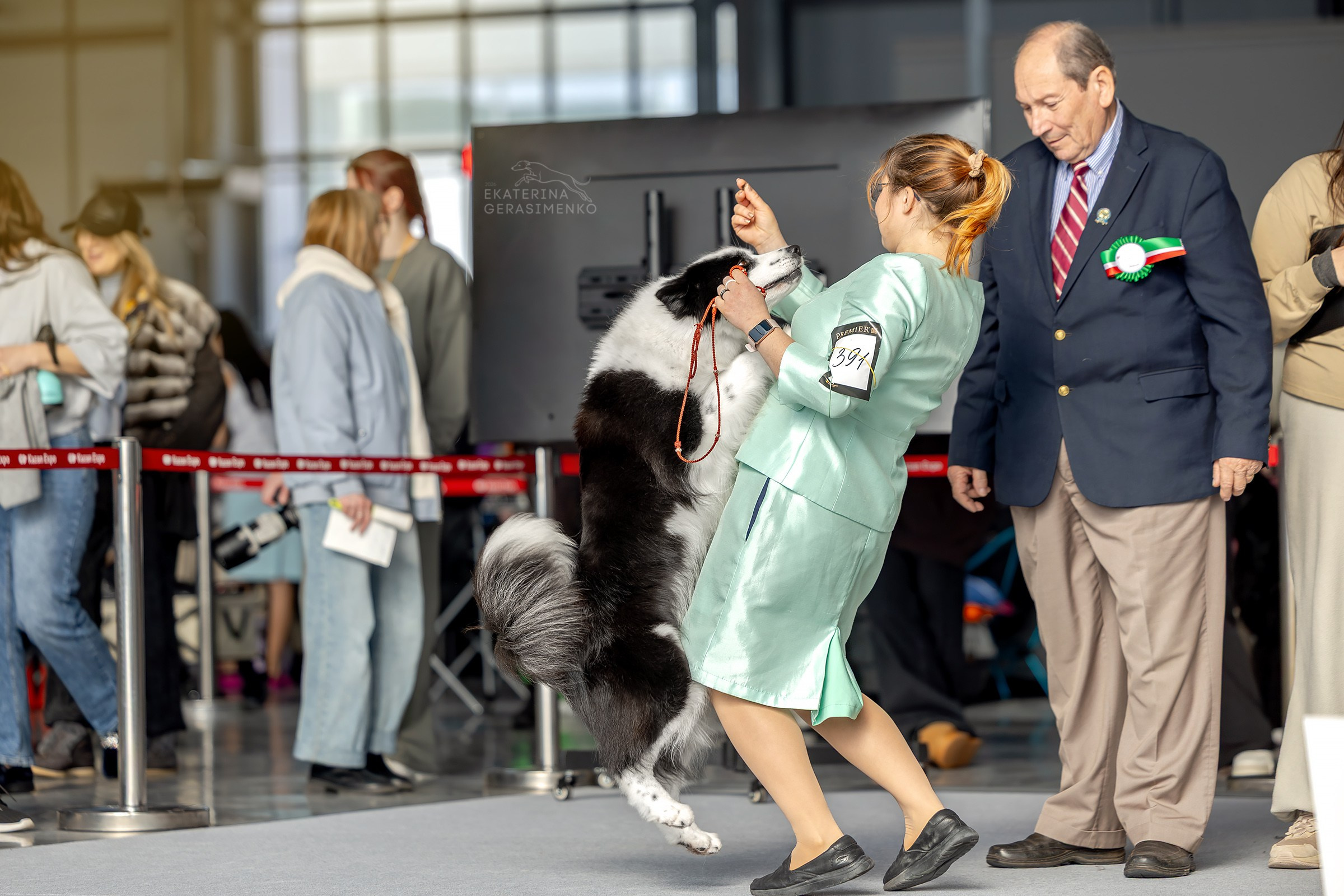14 марта 2026, Выставка РКФ, г. Казань. Htykk_photo
