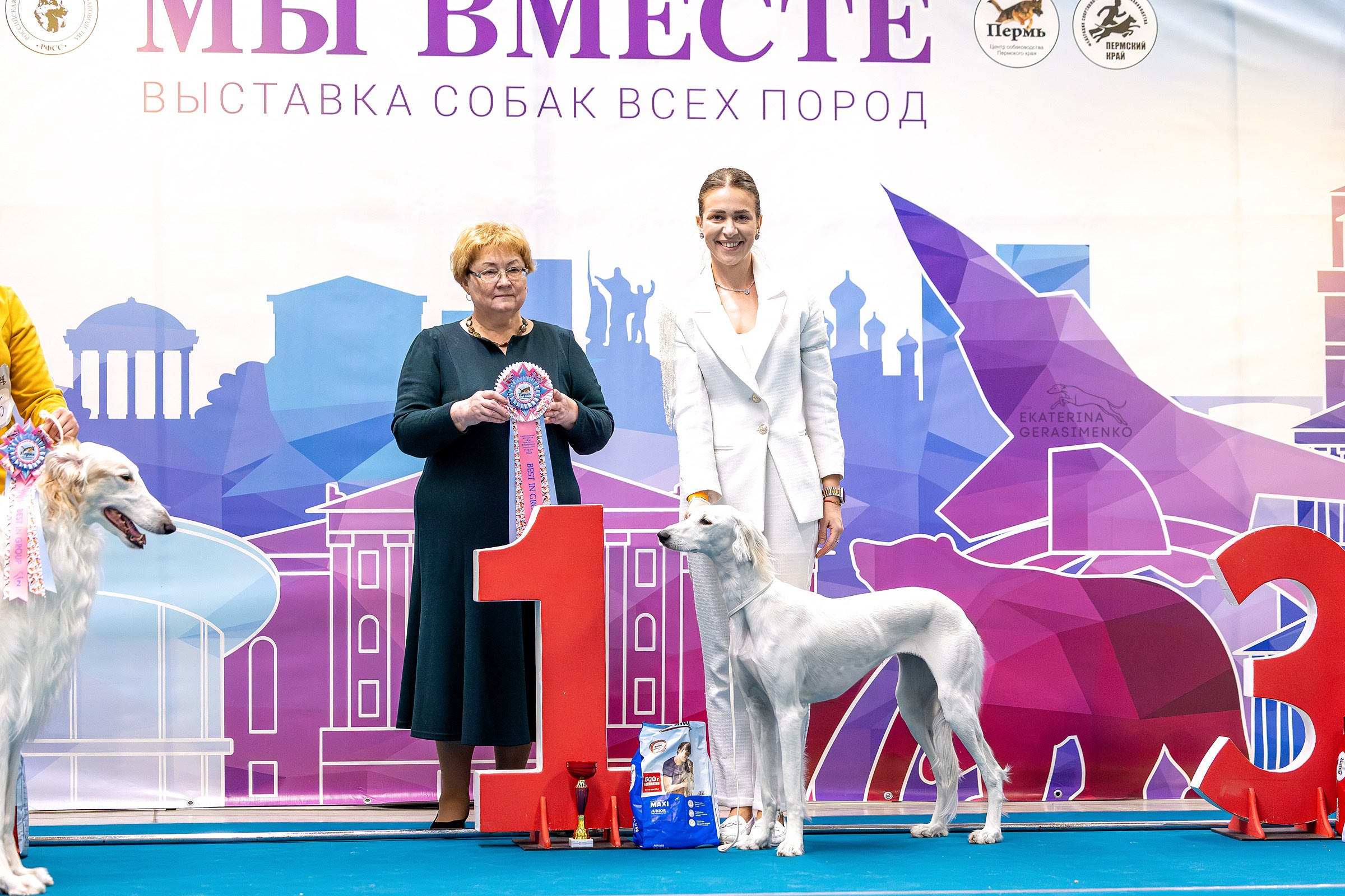 7–8 февраля 2026, Выставка РКФ, г. Пермь. Htykk_photo