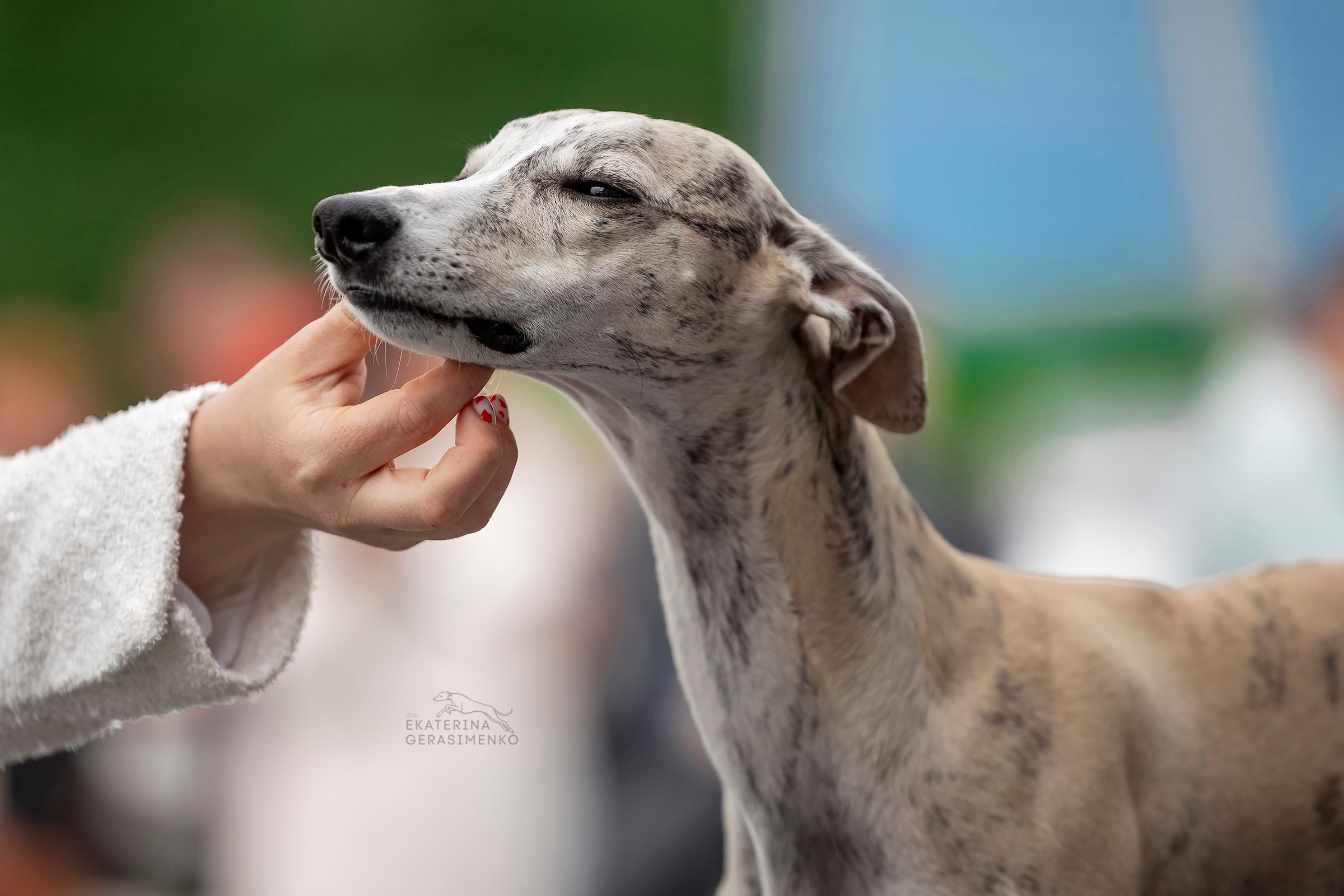 6 июня 2026, Выставка СКОР, г. Березники. Htykk_photo