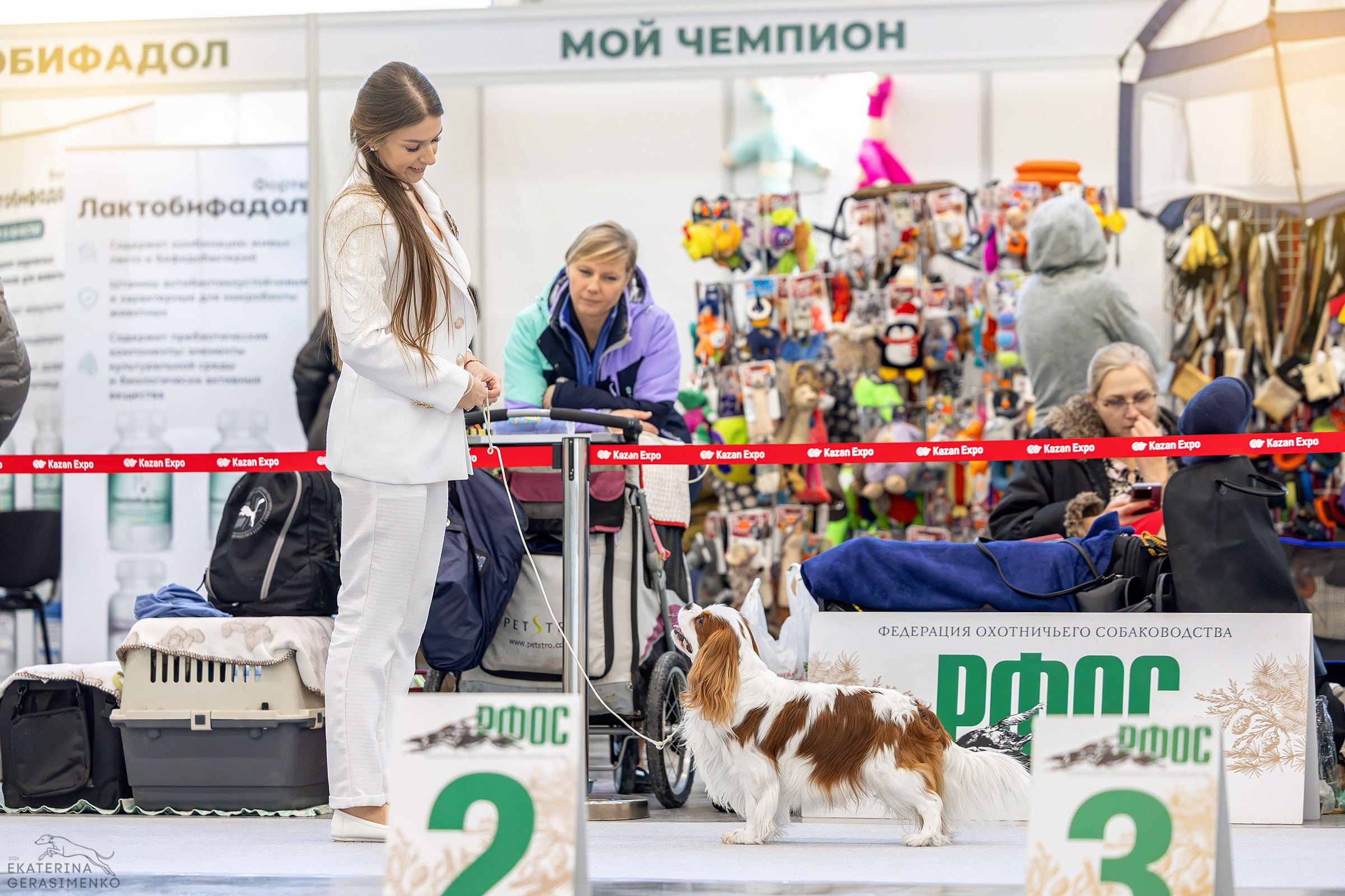 24–25 января 2026, Выставка РКФ «Сабанеевка», г. Казань. Htykk_photo