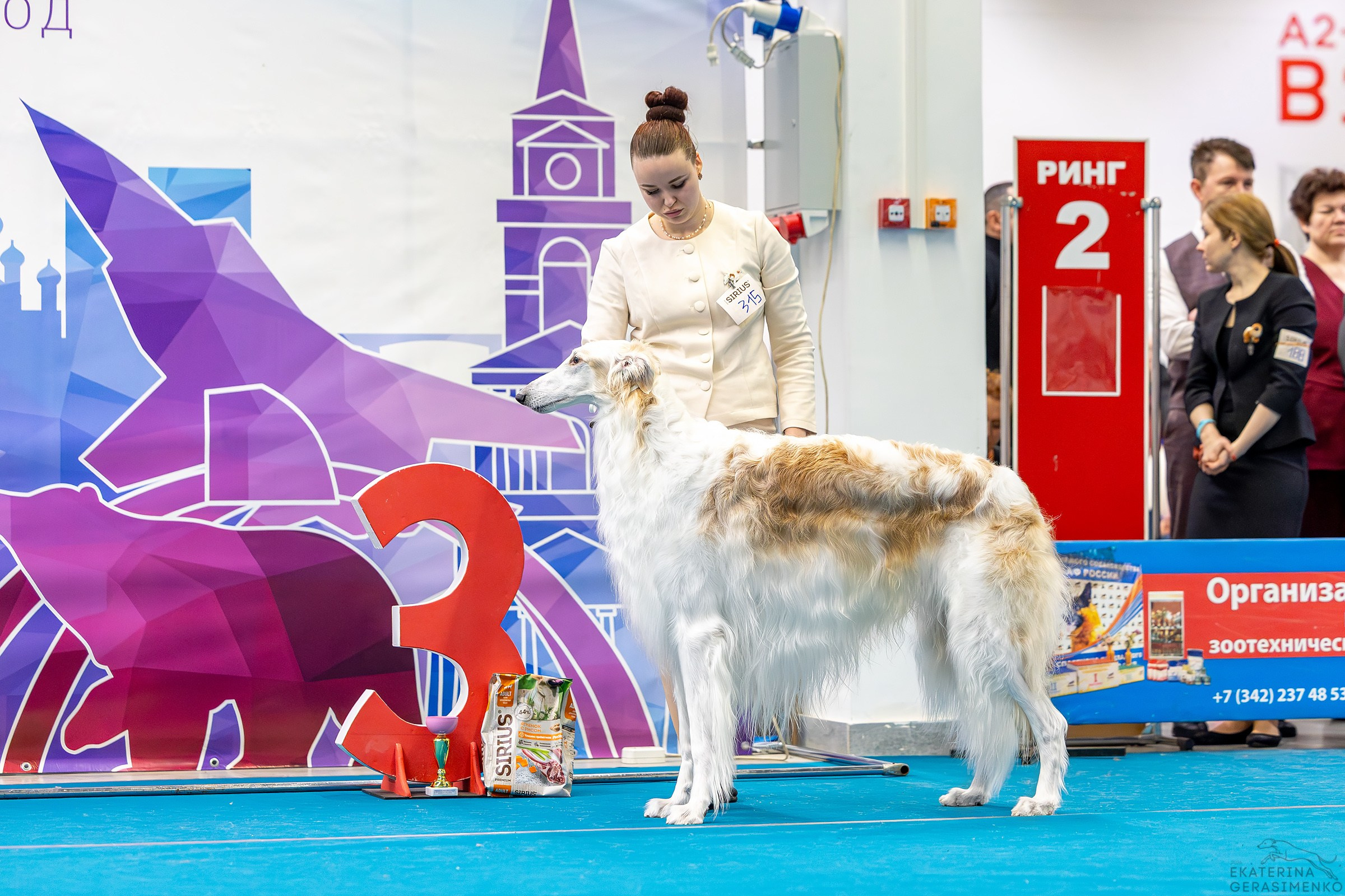 7–8 февраля 2026, Выставка РКФ, г. Пермь. Htykk_photo