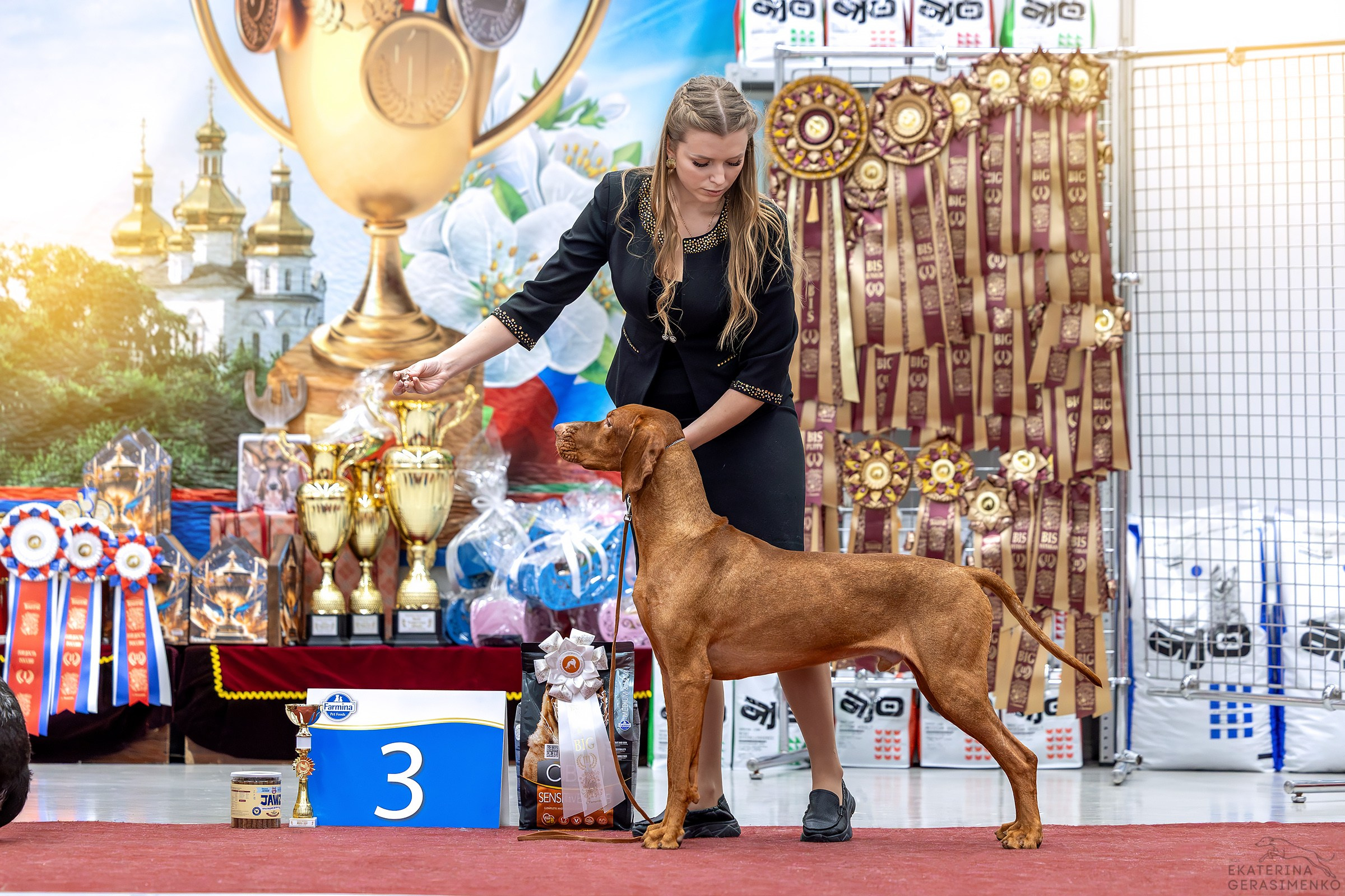 17–18 января 2026, Выставка РКФ, г. Тюмень. Htykk_photo