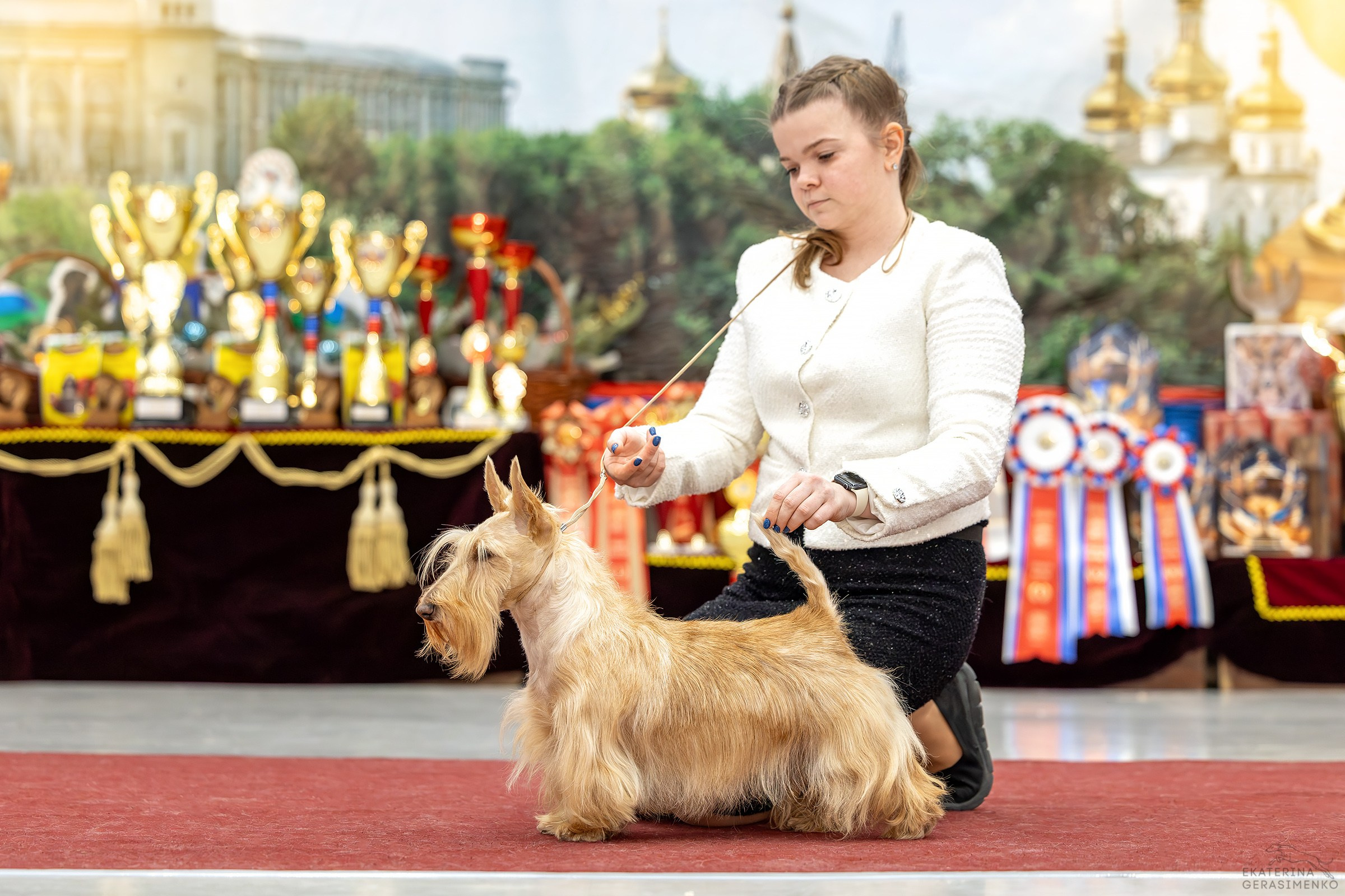 17–18 января 2026, Выставка РКФ, г. Тюмень. Htykk_photo