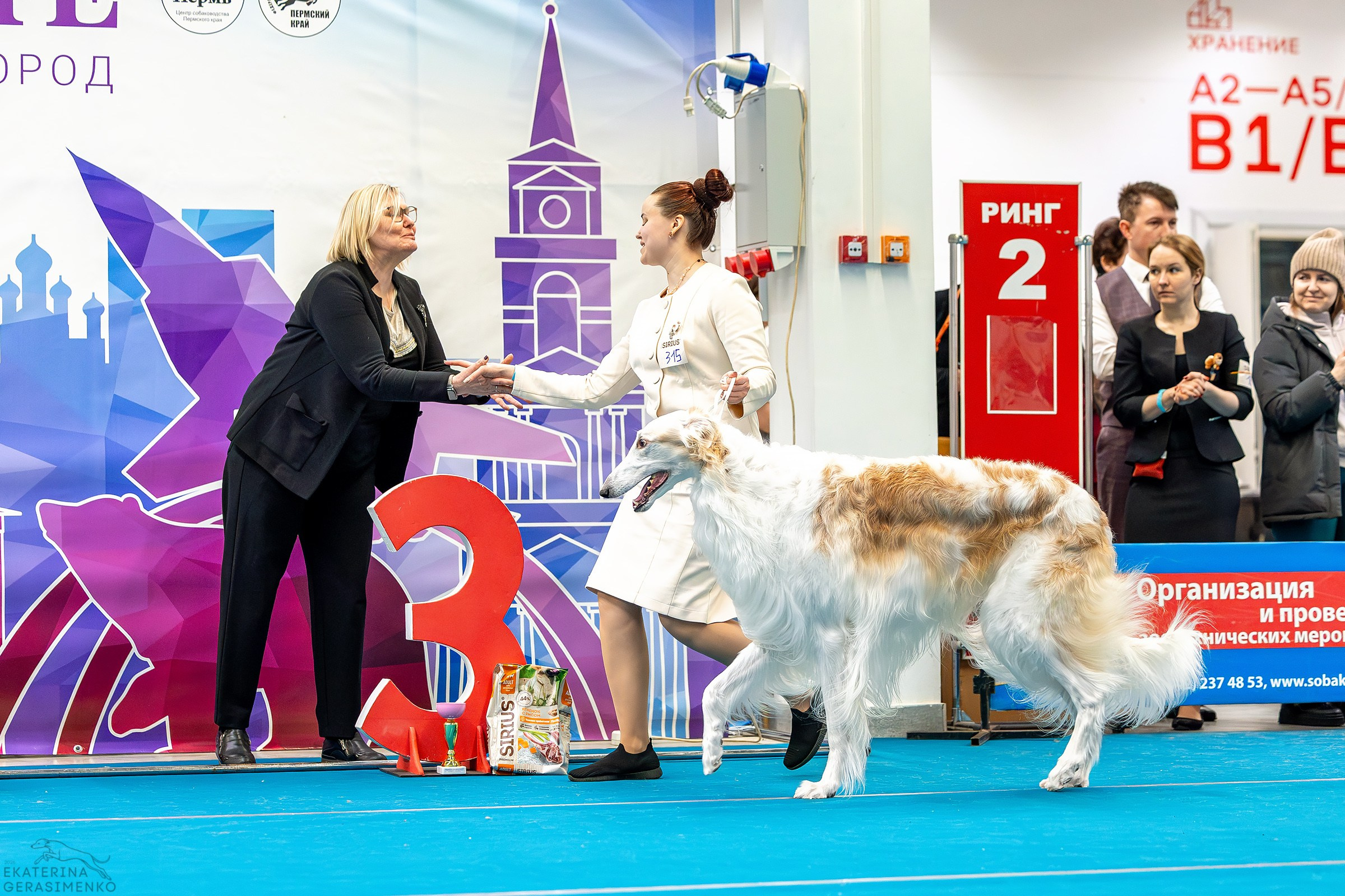 7–8 февраля 2026, Выставка РКФ, г. Пермь. Htykk_photo