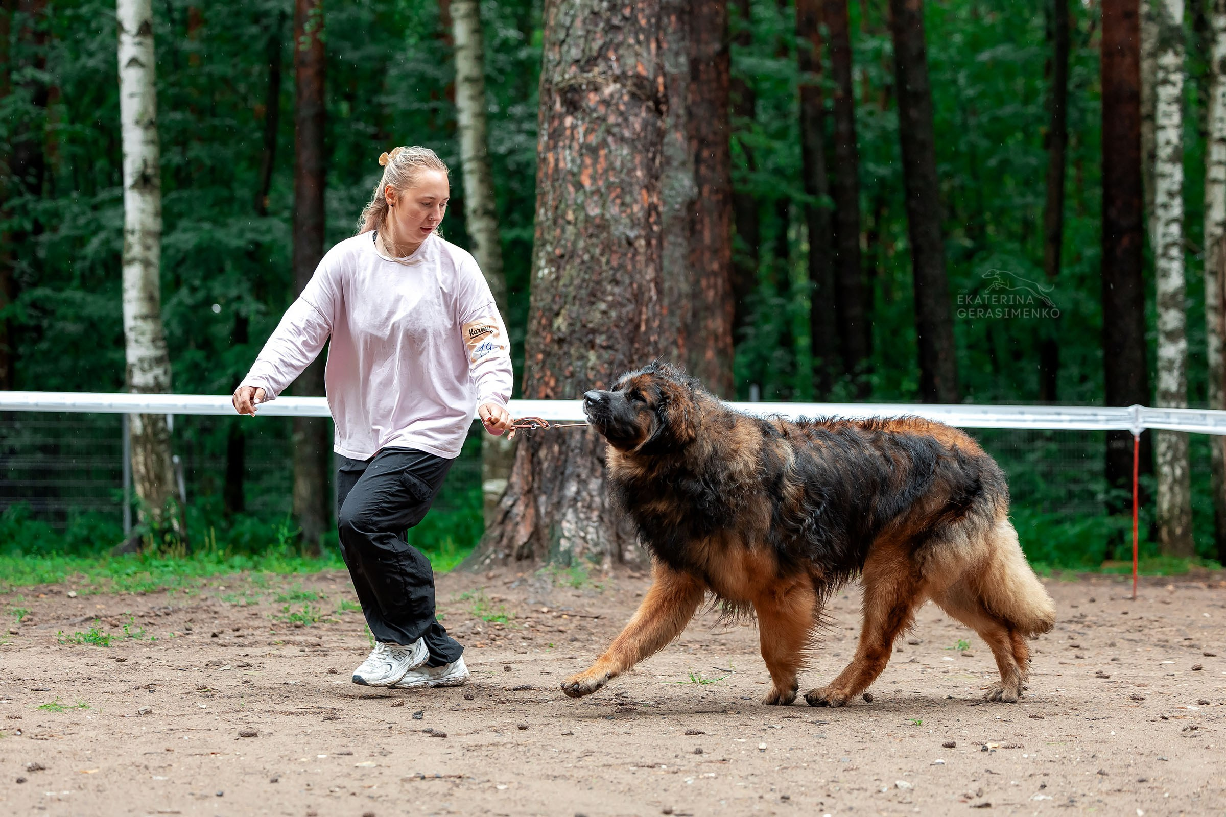 1 августа 2026, Выставка РКФ, г. Пермь. Htykk_photo