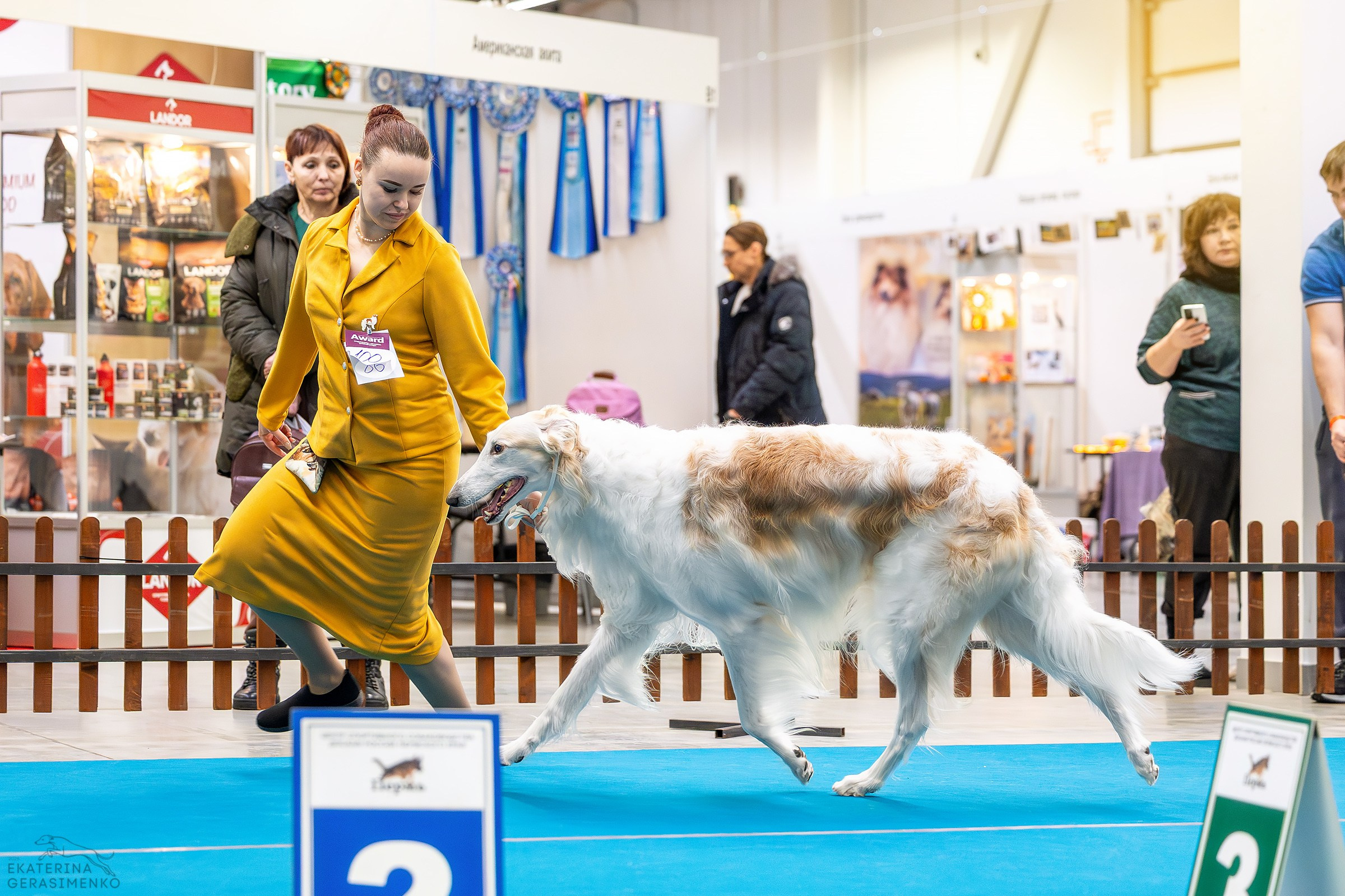 7–8 февраля 2026, Выставка РКФ, г. Пермь. Htykk_photo