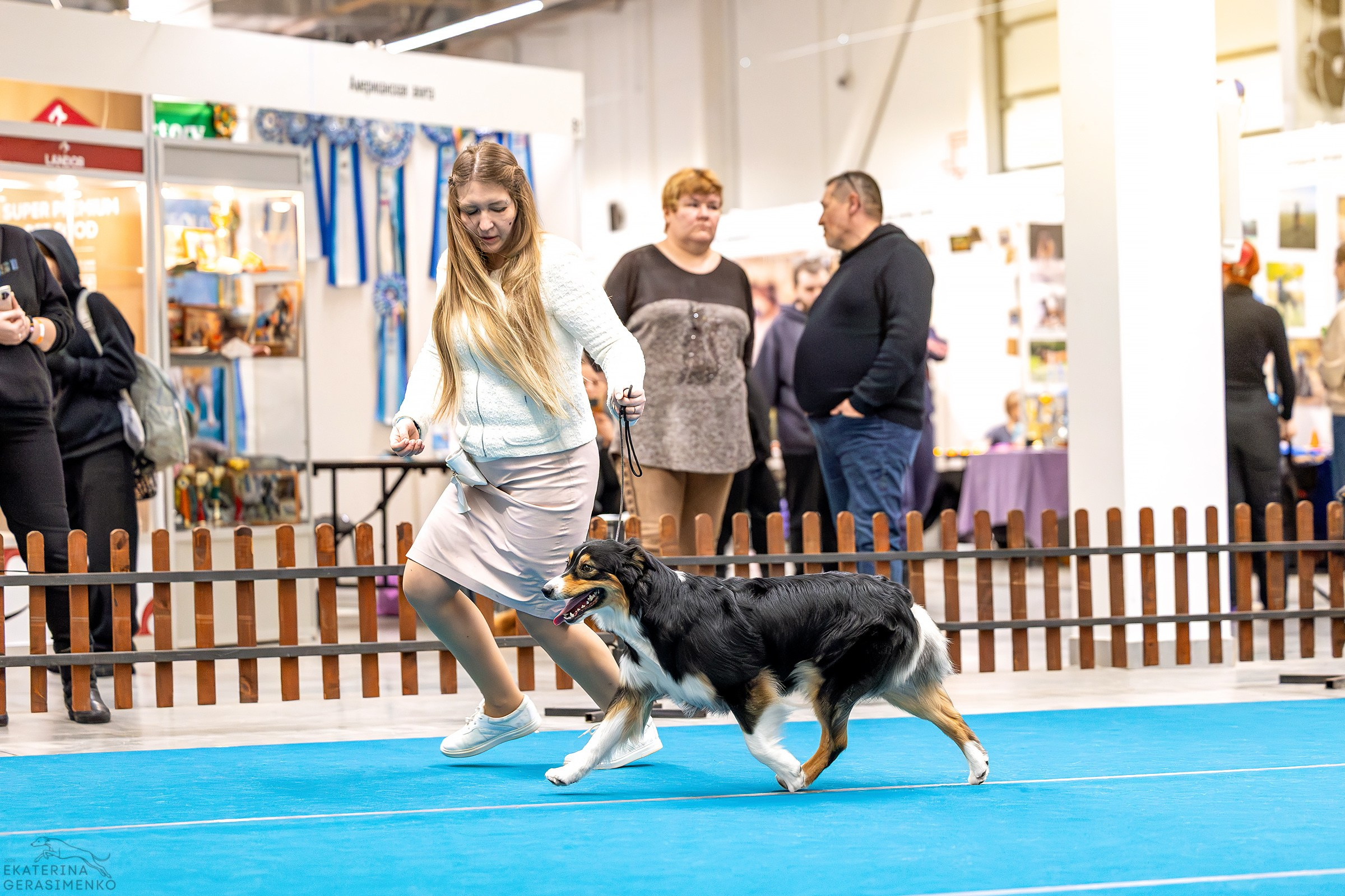 7–8 февраля 2026, Выставка РКФ, г. Пермь. Htykk_photo