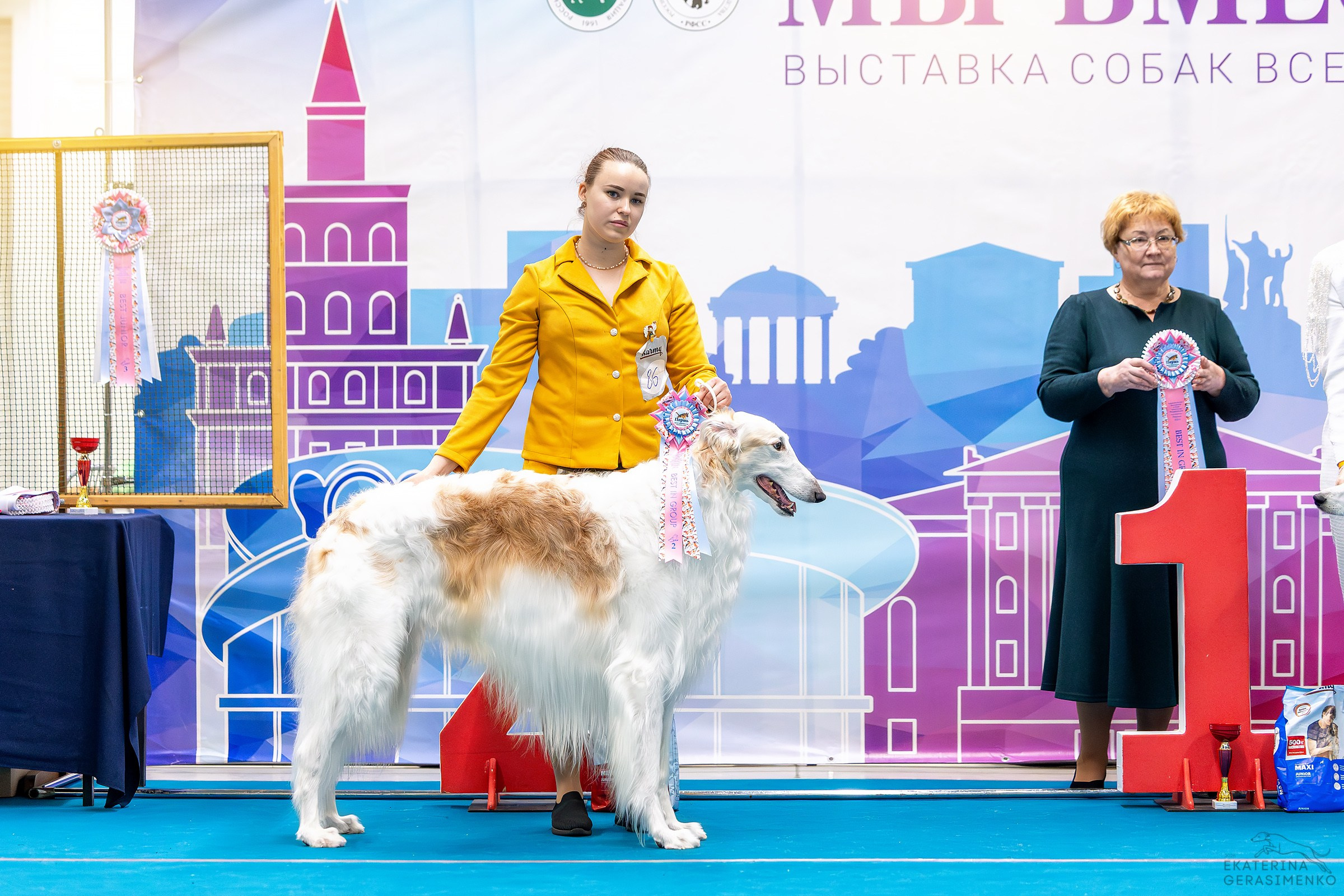 7–8 февраля 2026, Выставка РКФ, г. Пермь. Htykk_photo