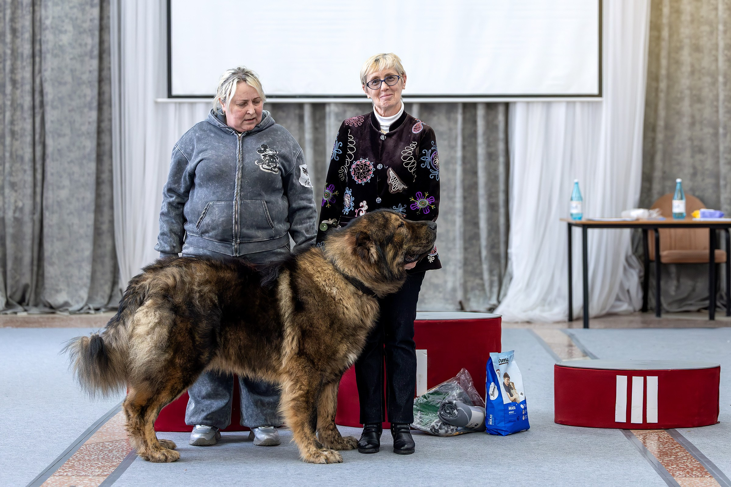 21 февраля 2026, Выставка РКФ, г. Пермь. Htykk_photo