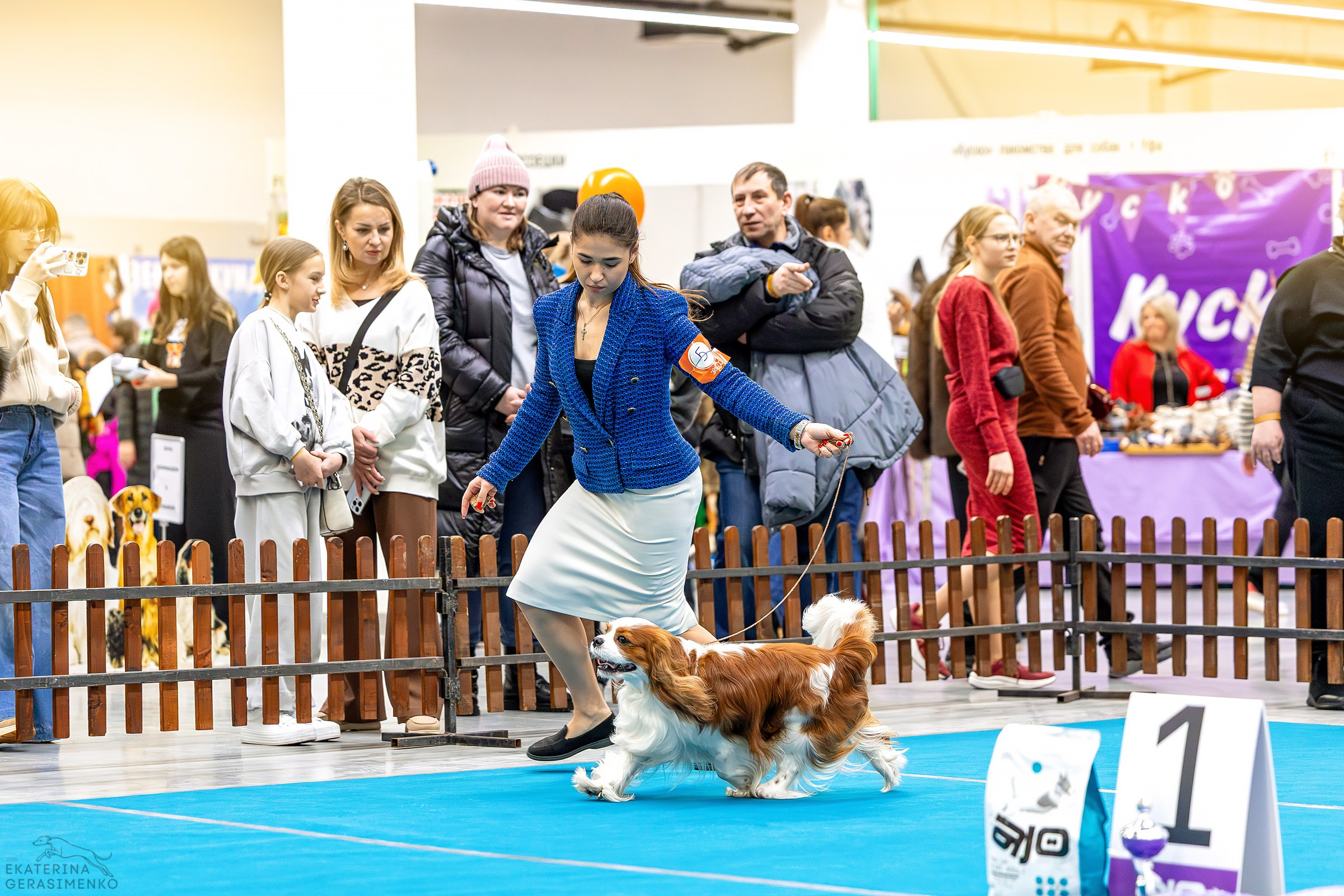 7–8 февраля 2026, Выставка РКФ, г. Пермь. Htykk_photo