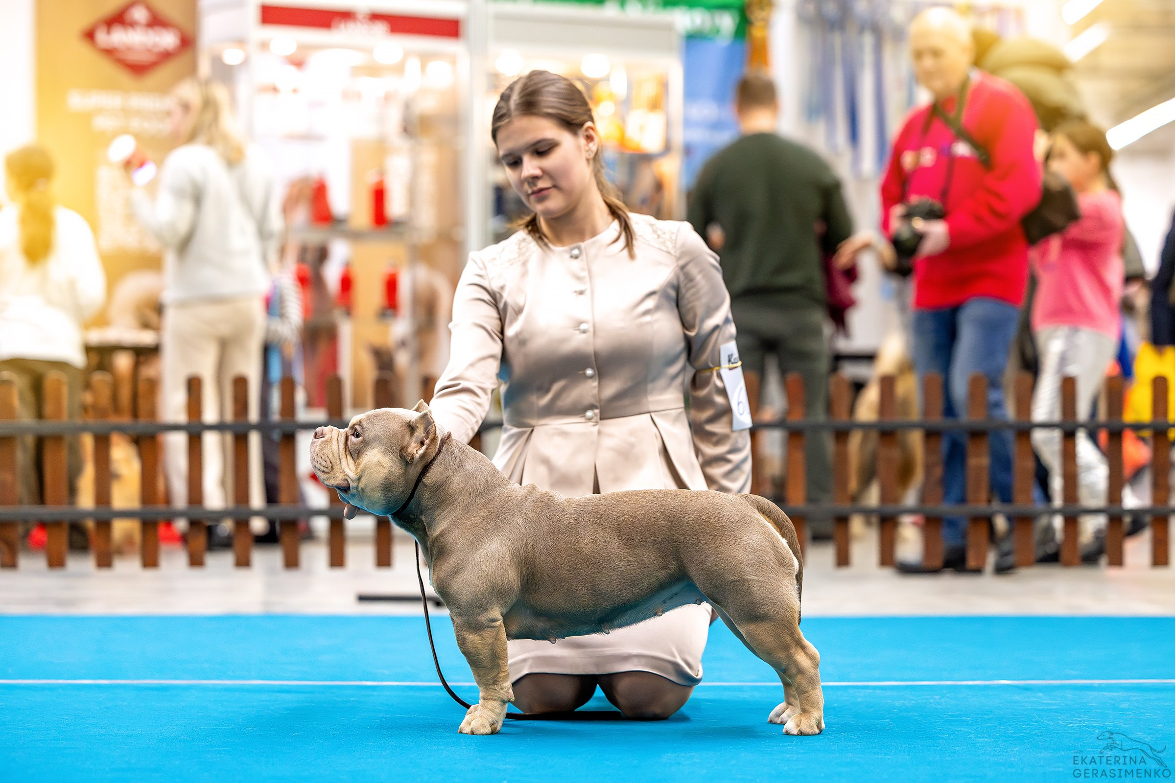 7–8 февраля 2026, Выставка РКФ, г. Пермь. Htykk_photo