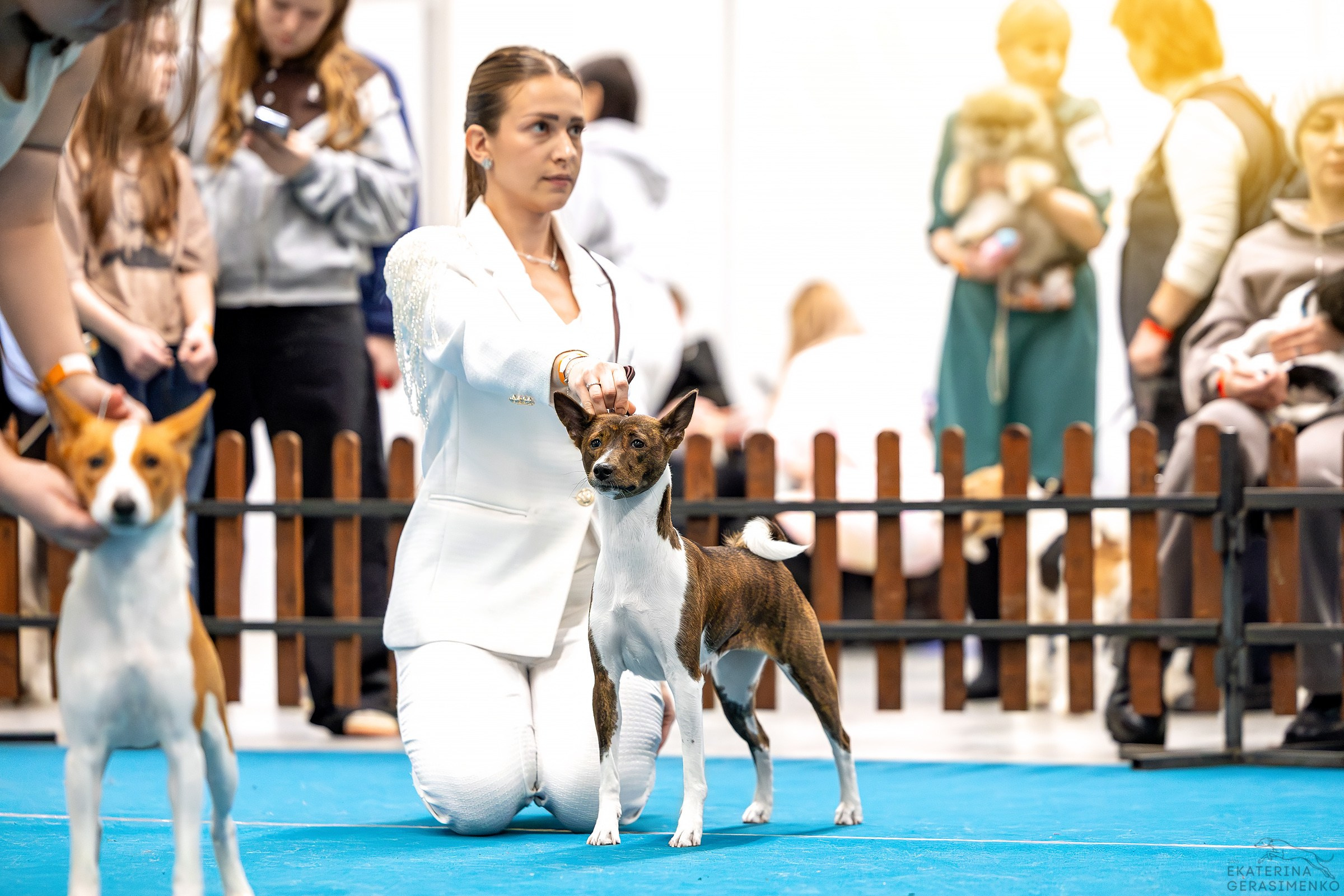 7–8 февраля 2026, Выставка РКФ, г. Пермь. Htykk_photo