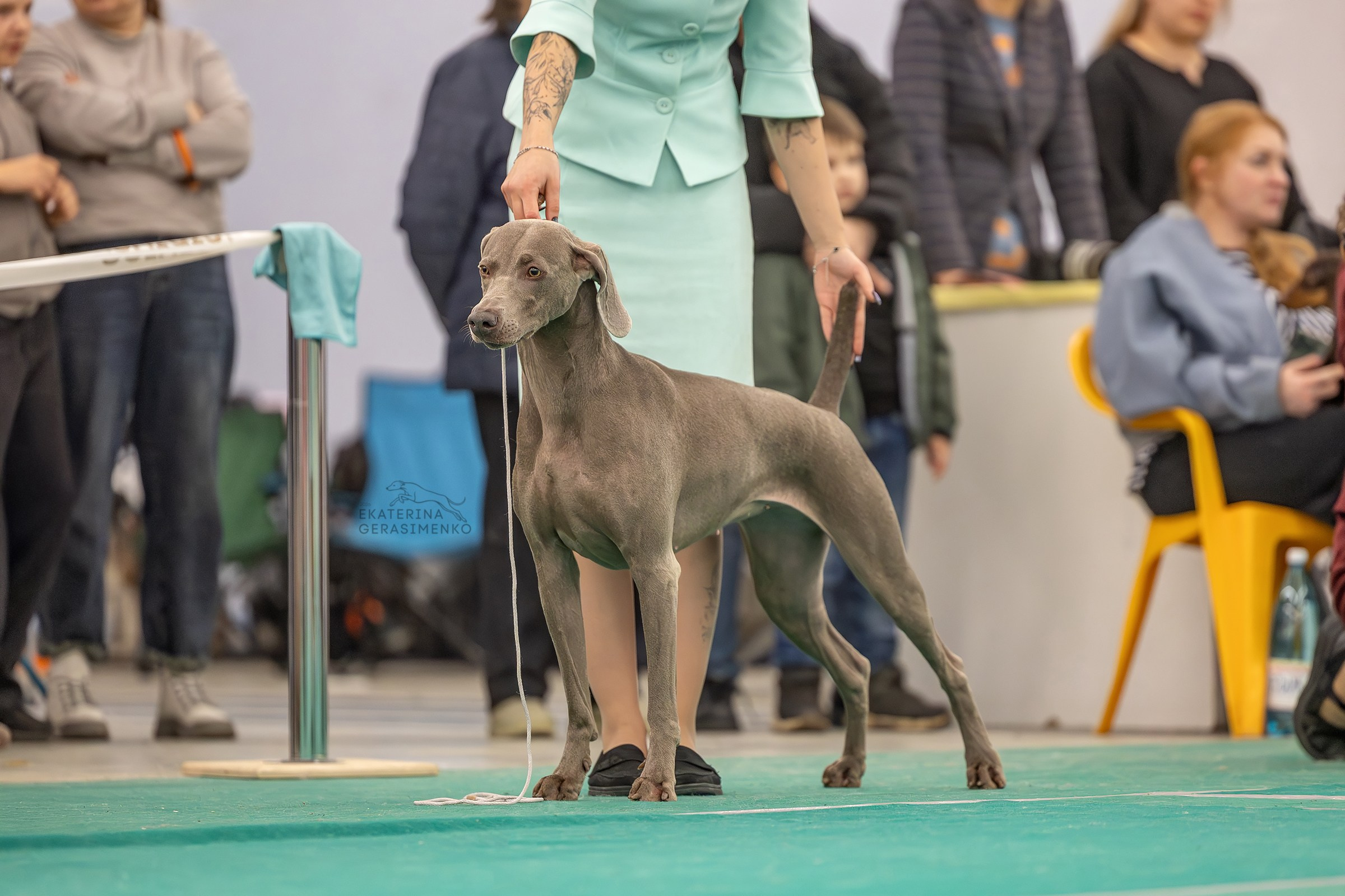 28–29 марта 2026, Выставка РКФ, г. Екатеринбург. Htykk_photo