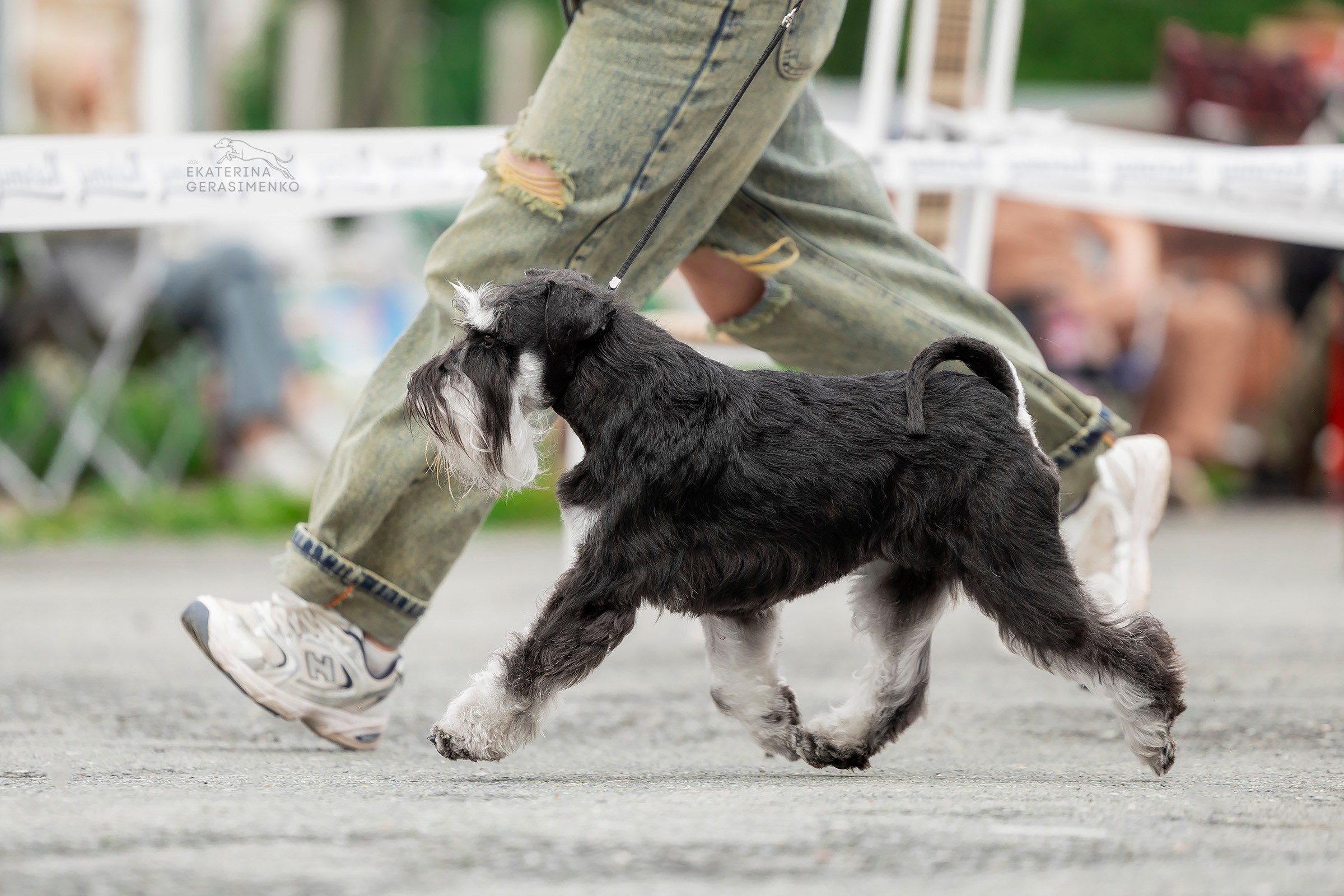 6 июня 2026, Выставка СКОР, г. Березники. Htykk_photo