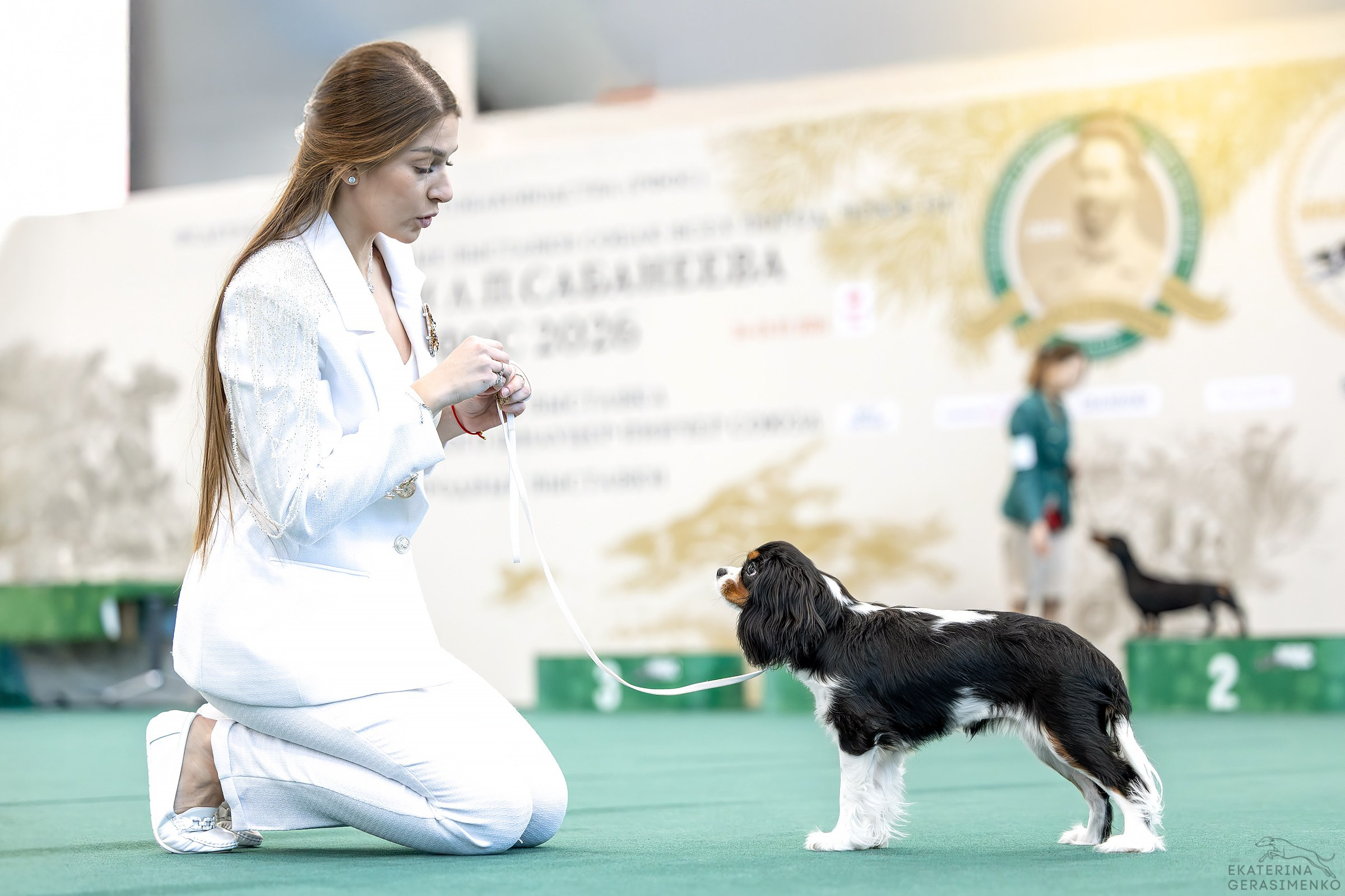 24–25 января 2026, Выставка РКФ «Сабанеевка», г. Казань. Htykk_photo