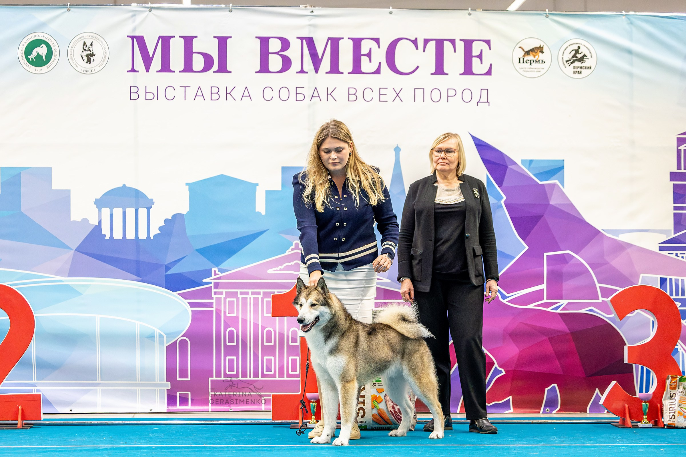 7–8 февраля 2026, Выставка РКФ, г. Пермь. Htykk_photo
