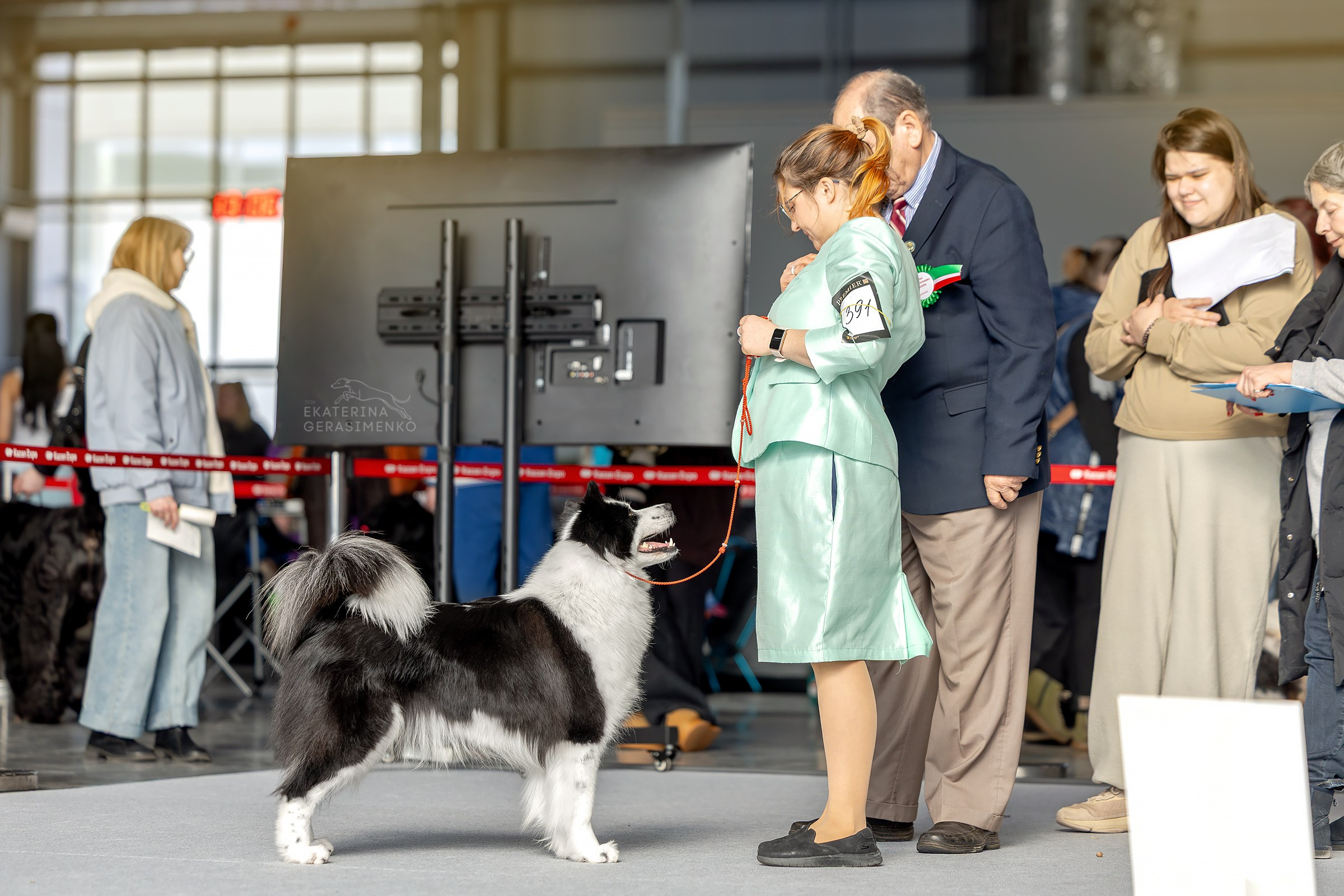 14 марта 2026, Выставка РКФ, г. Казань. Htykk_photo
