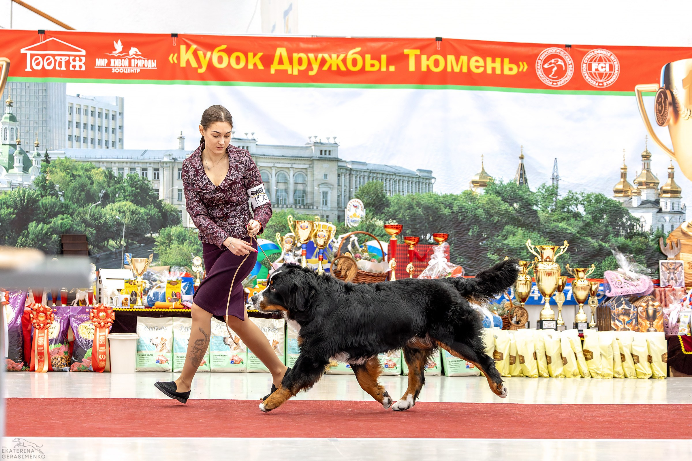 17–18 января 2026, Выставка РКФ, г. Тюмень. Htykk_photo