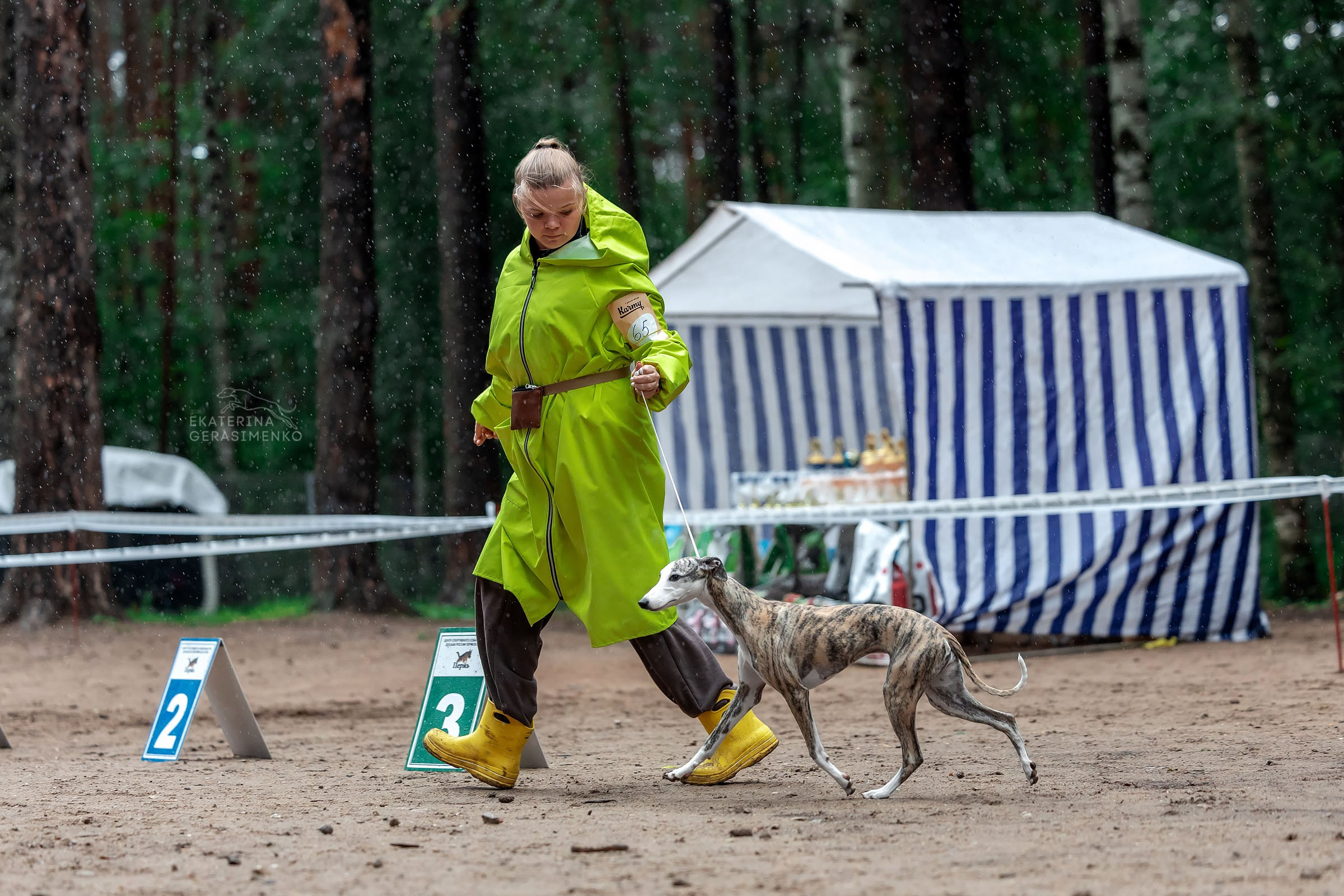 1 августа 2026, Выставка РКФ, г. Пермь. Htykk_photo