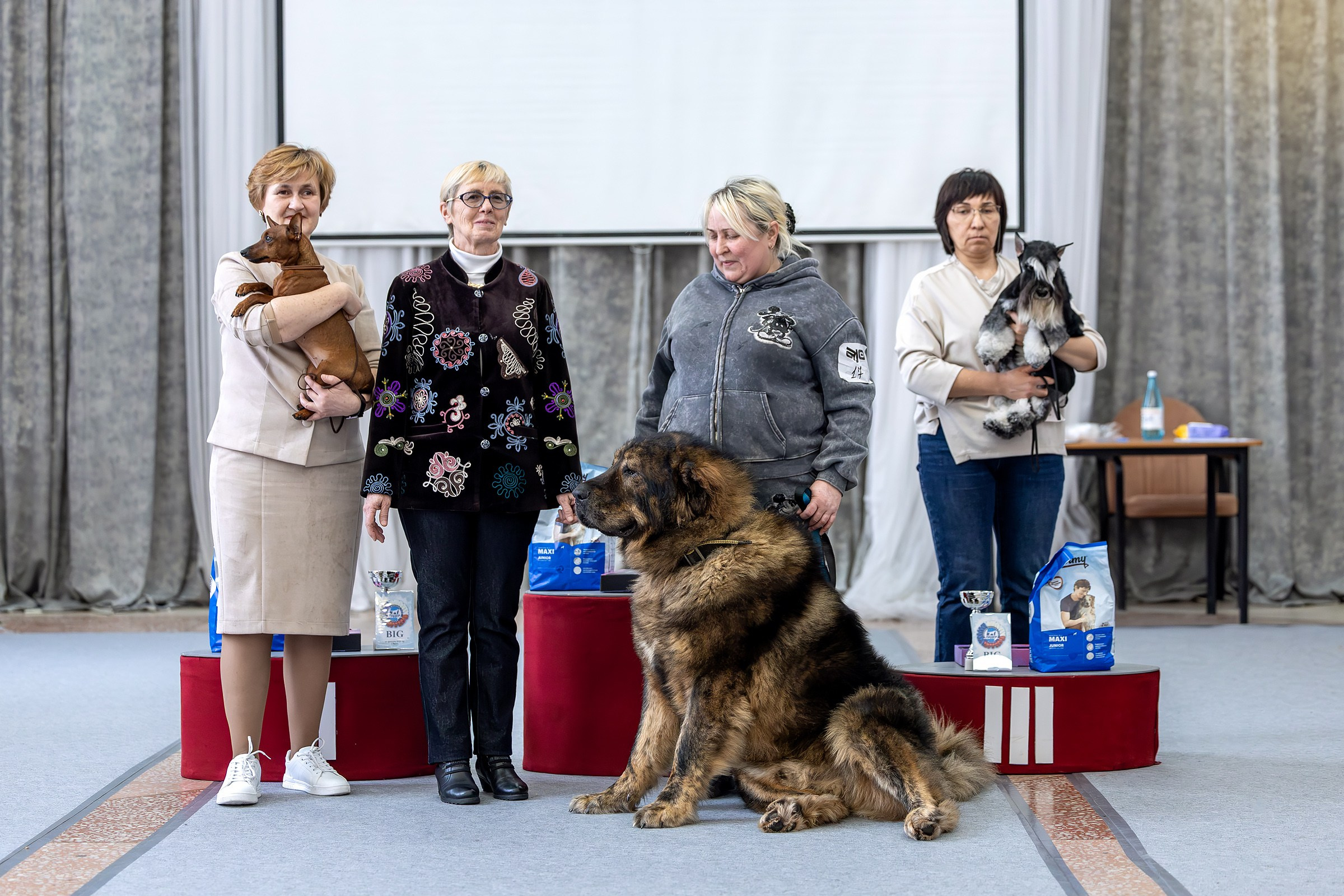 21 февраля 2026, Выставка РКФ, г. Пермь. Htykk_photo