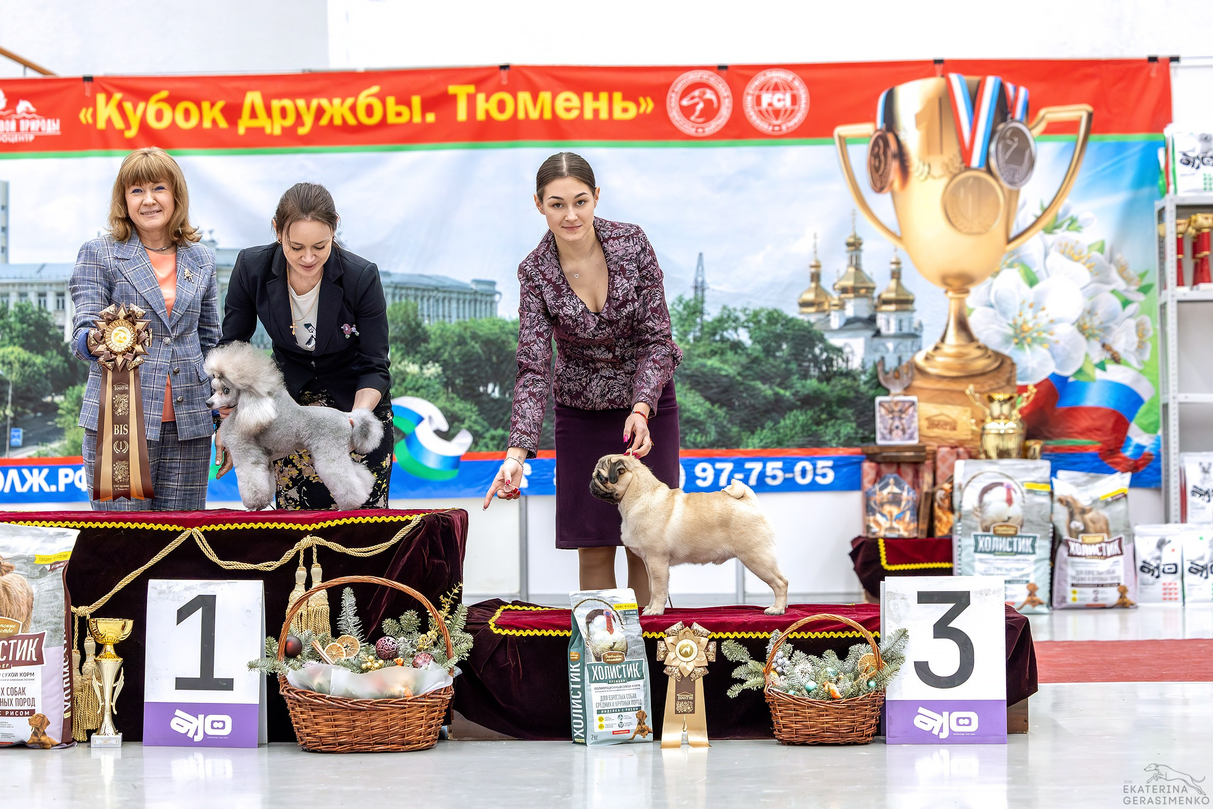 17–18 января 2026, Выставка РКФ, г. Тюмень. Htykk_photo