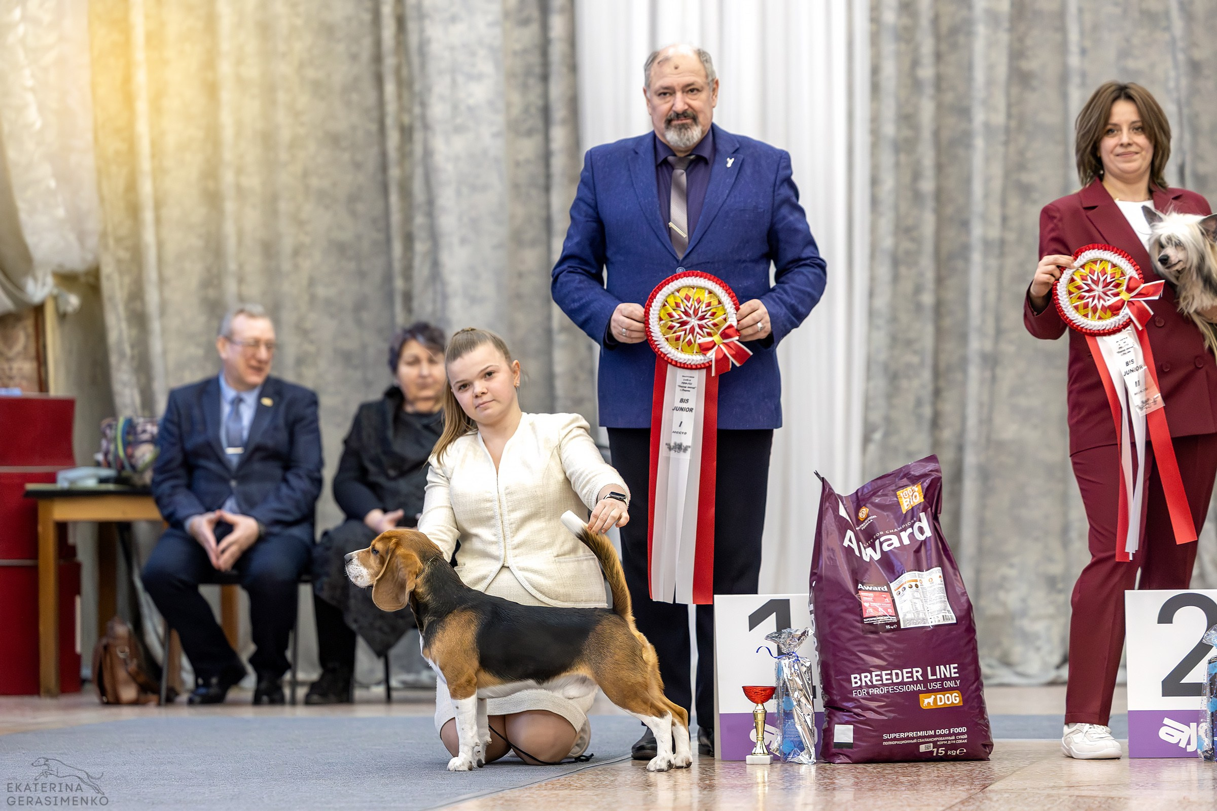 28 февраля 2026, Выставка РКФ, г. Пермь. Htykk_photo