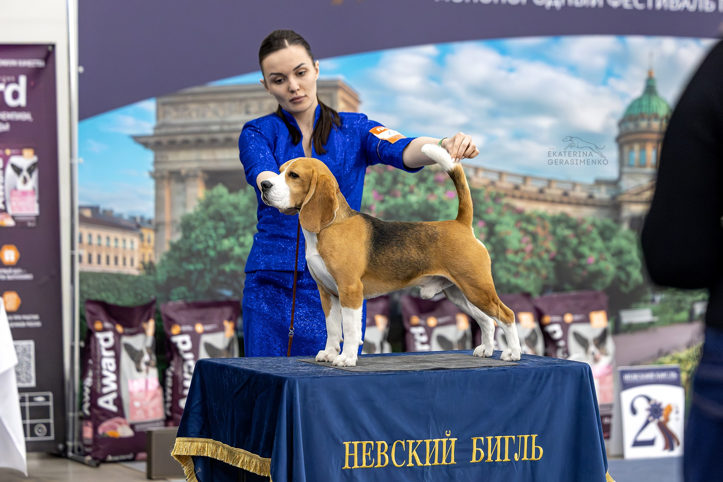 18–19 апреля 2026, Выставка РКФ, г. Санкт-Петербург. Htykk_photo