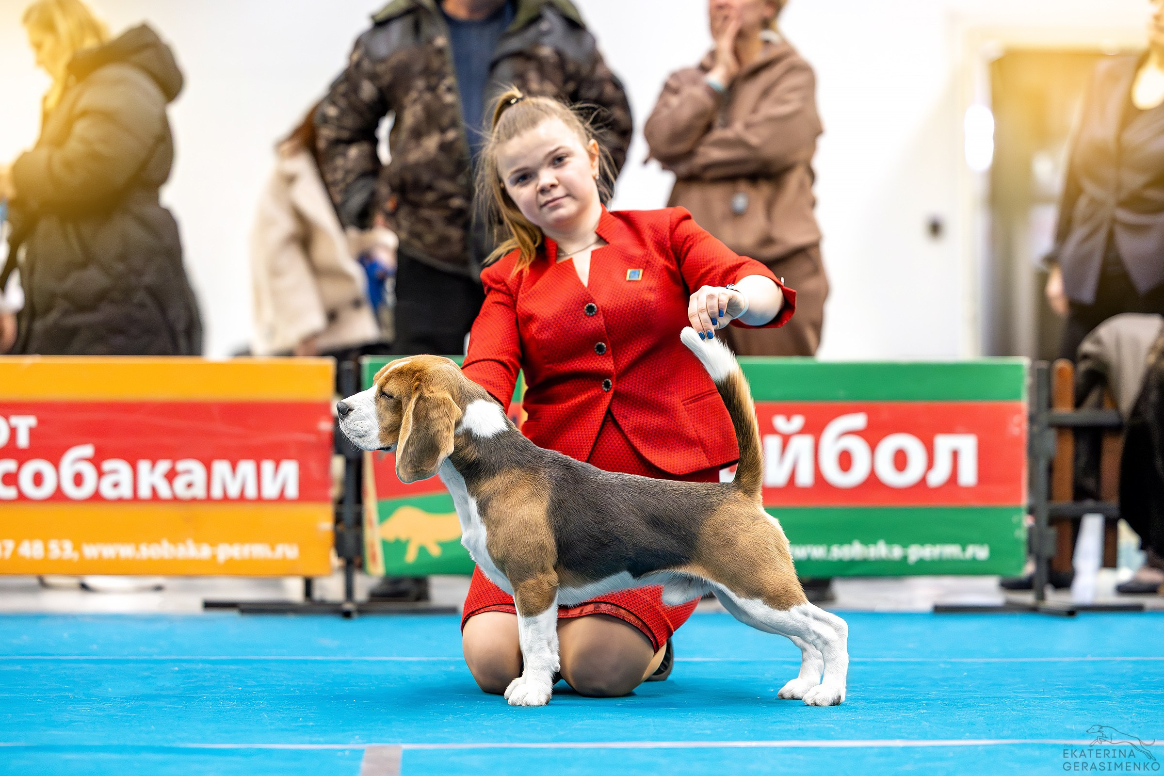 7–8 февраля 2026, Выставка РКФ, г. Пермь. Htykk_photo