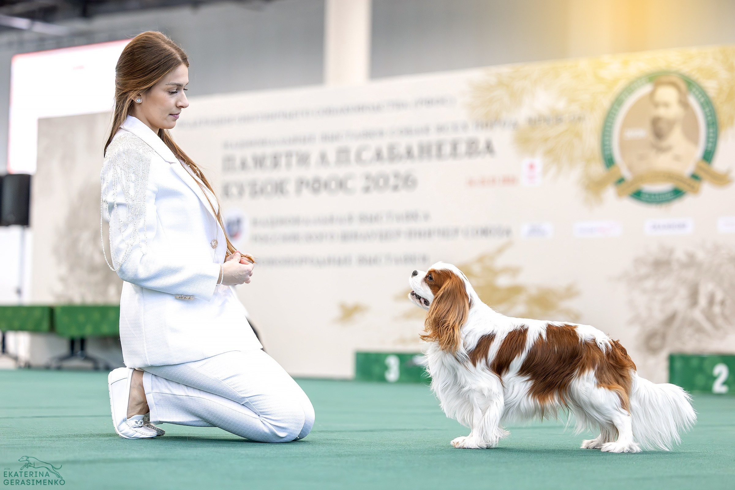 24–25 января 2026, Выставка РКФ «Сабанеевка», г. Казань. Htykk_photo