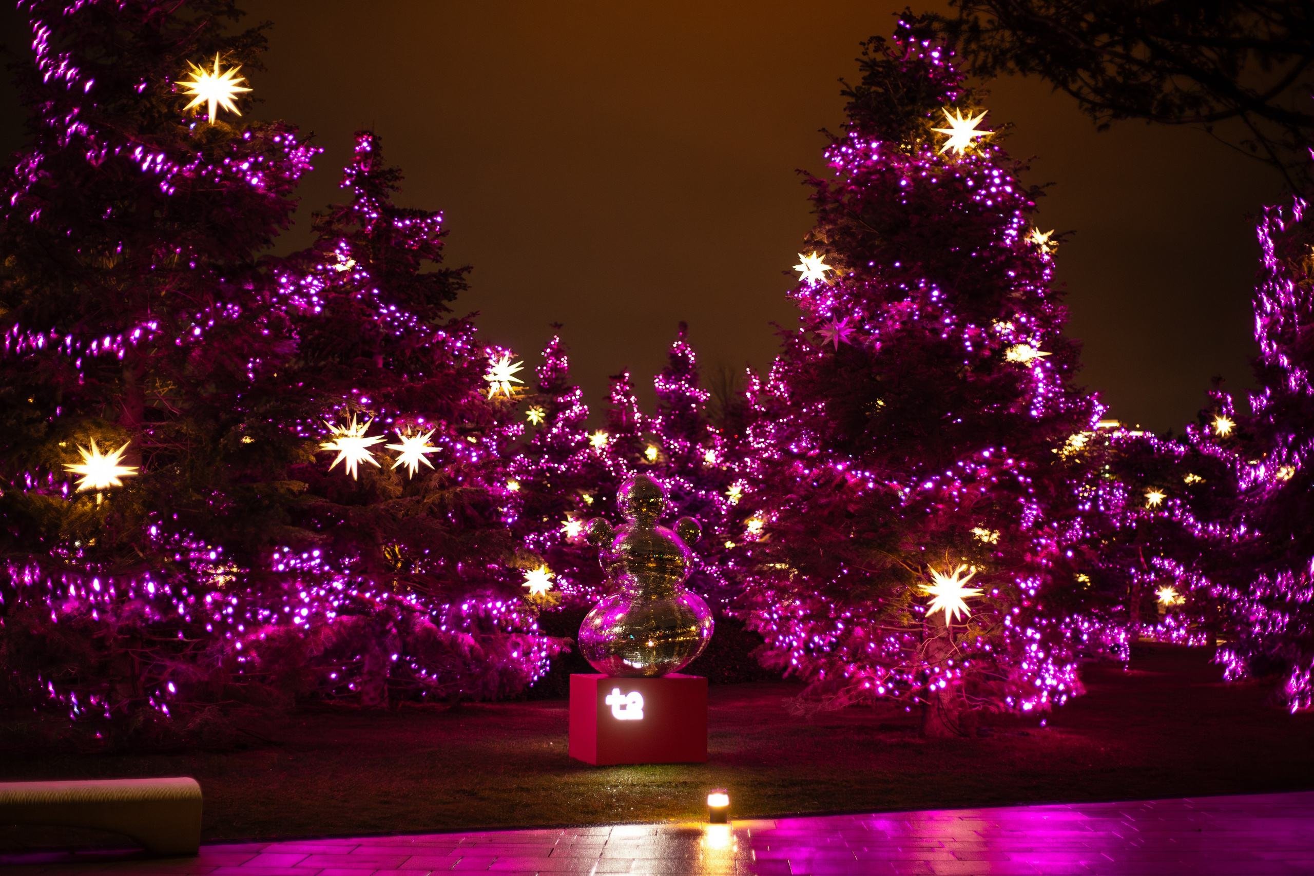 Т2. Фотограф Алиса Лисицына